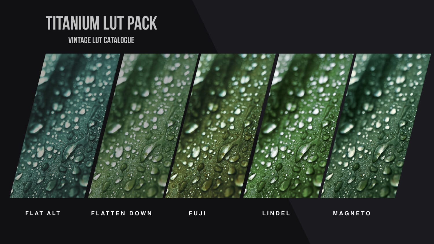 Titanium LUT Pack - Gallery Image