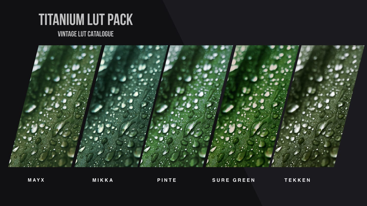 Titanium LUT Pack - Gallery Image