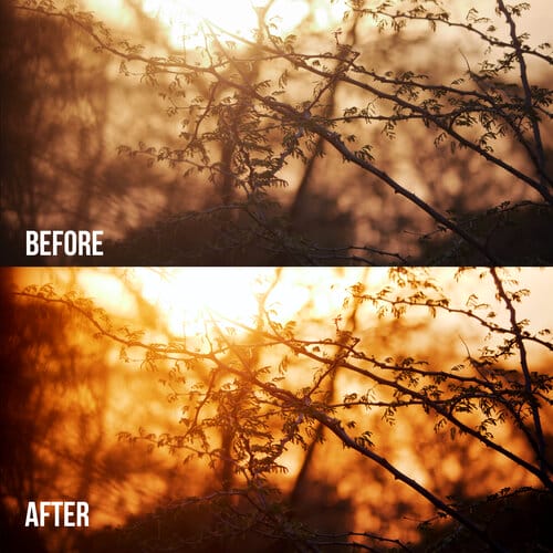 Everyday LUT Pack - Gallery Image