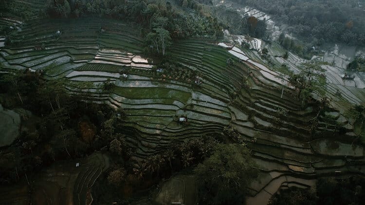 Titanium LUT Pack - Gallery Image