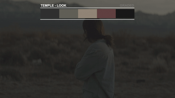 Vintage Looks LUT