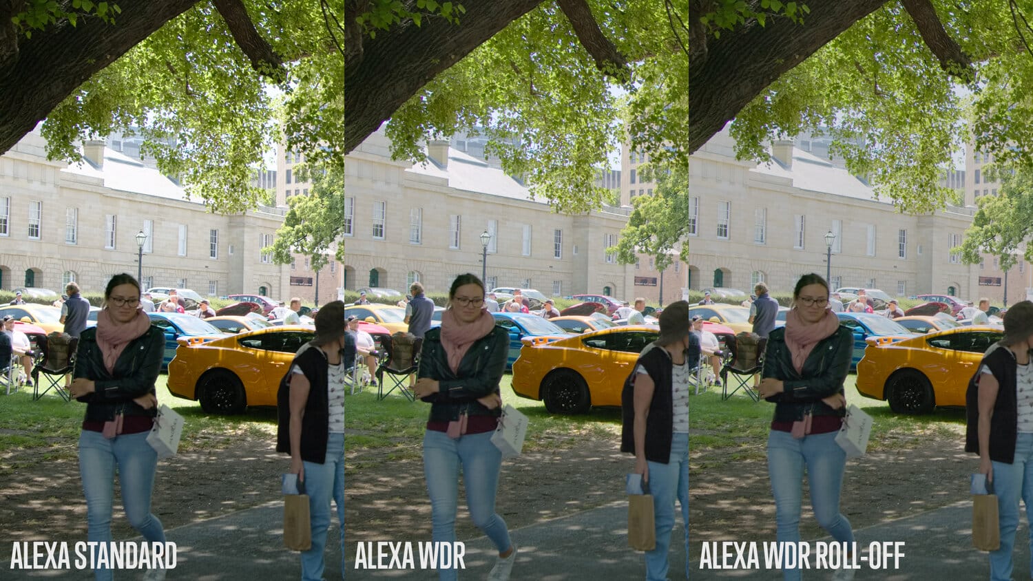 P6K2ALEXA POWERGRADE AND LUTS