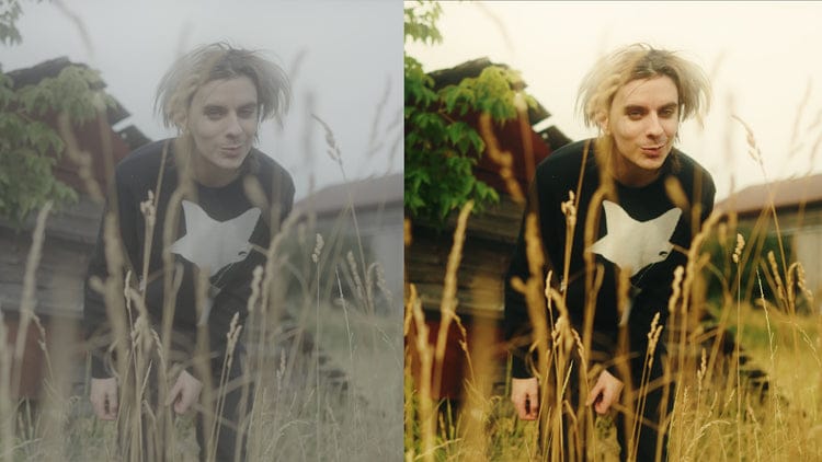 THE ULTIMATE LUT PACK - Gallery Image