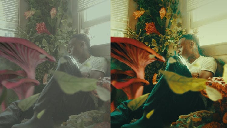 THE ULTIMATE LUT PACK - Gallery Image