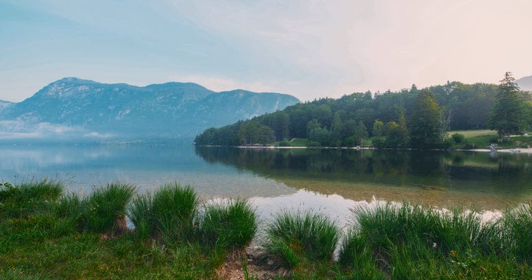 CINECOLOR 3 STRIP LUT PACK - Gallery Image