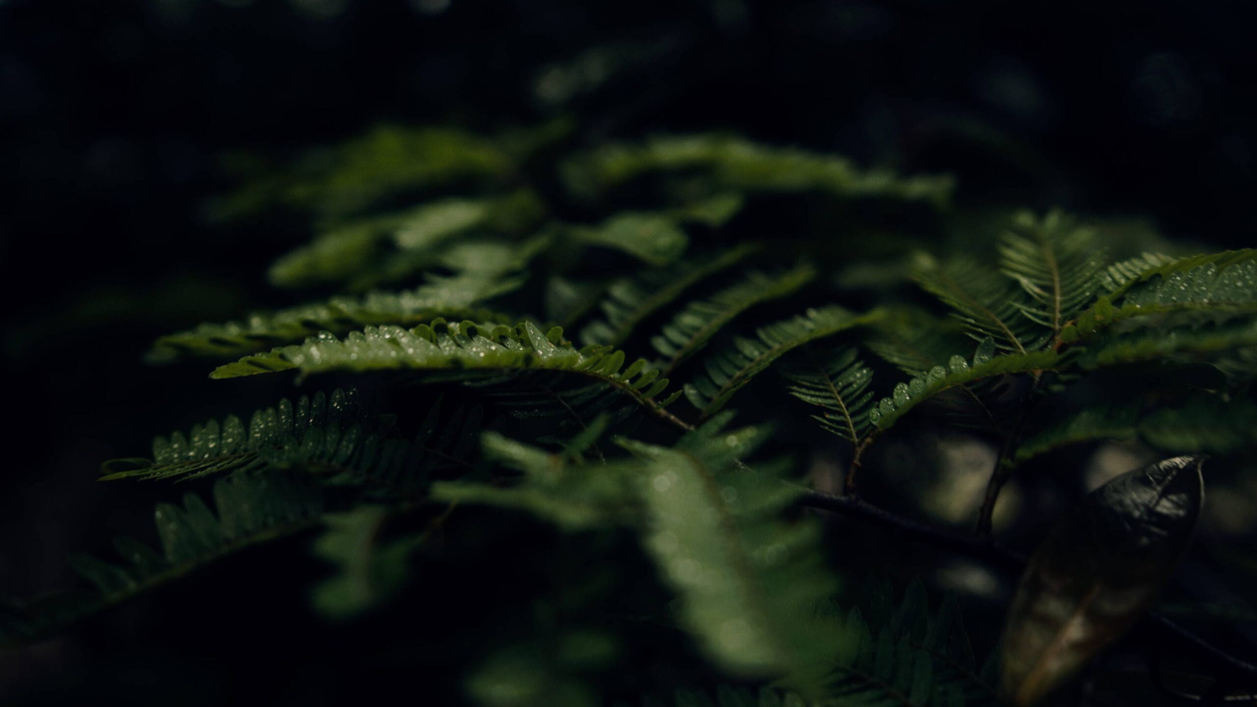 Film Space Justkay Blackmagic Gen 5 LUTs 2022 after