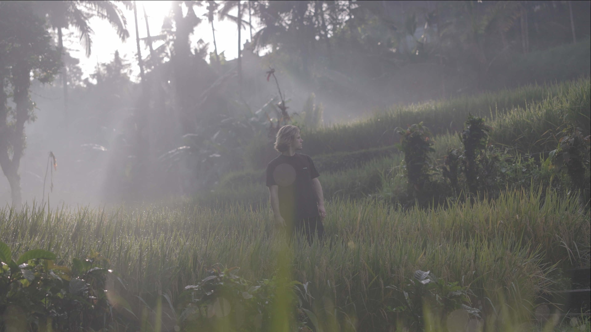 Cinematic Video LUTS By Watzac before