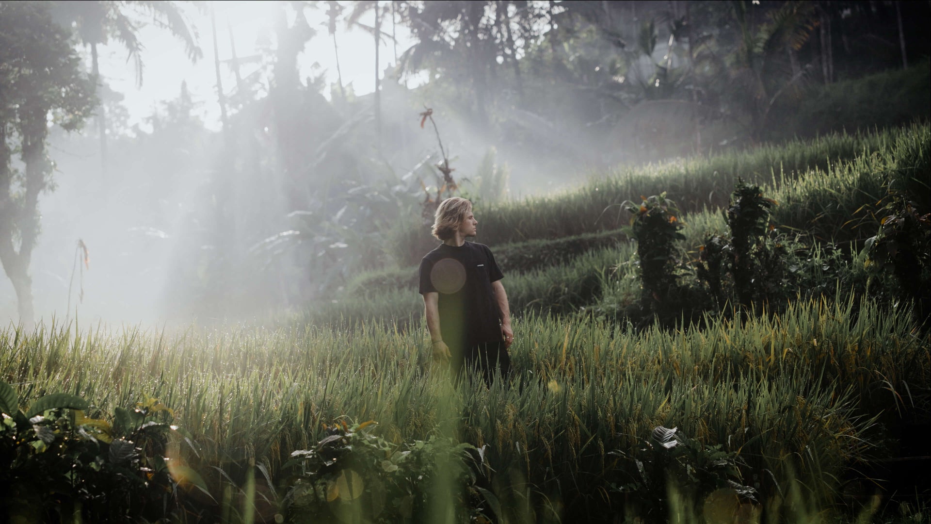 Cinematic Video LUTS By Watzac after