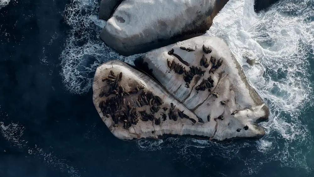 CINE COLLECTION DJI MAVIC AIR 2 LUTS PACK - Gallery Image