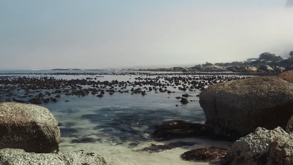 CINE COLLECTION DJI MAVIC AIR 2 LUTS PACK - Gallery Image