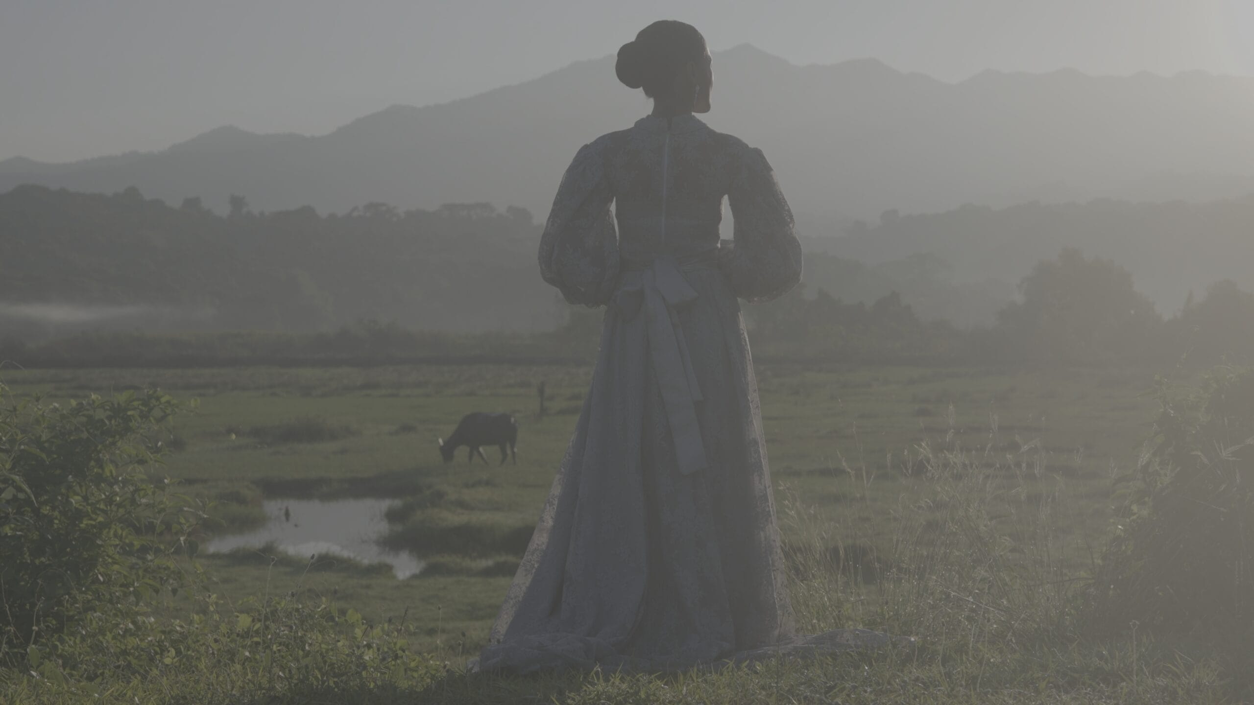 Kodak 2383 Inspired Cinematic LUTs before