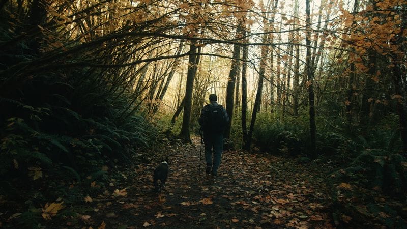 Kodak 2383 Inspired Cinematic LUTs - Gallery Image