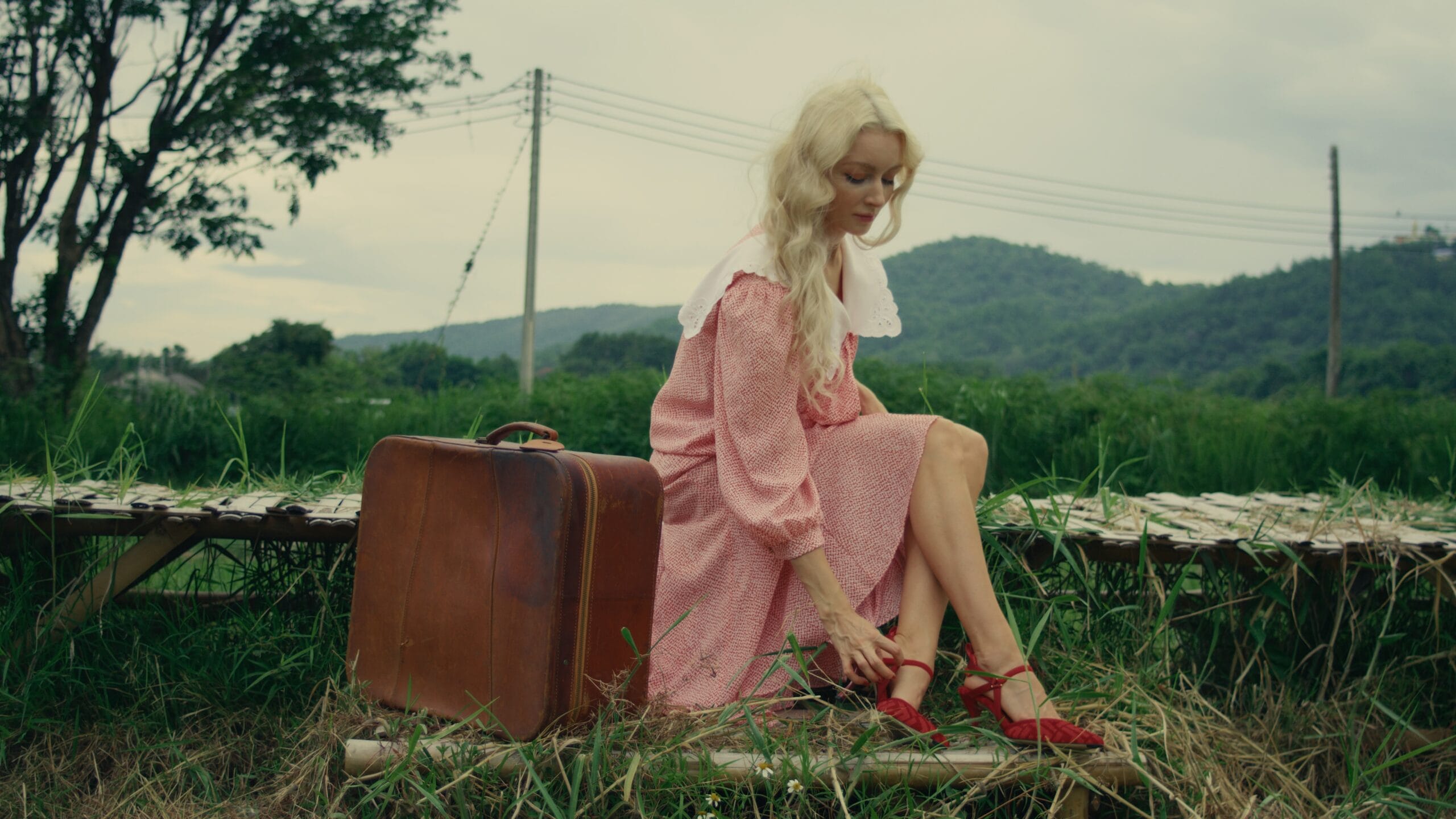 Kodak 2383 Inspired Cinematic LUTs after