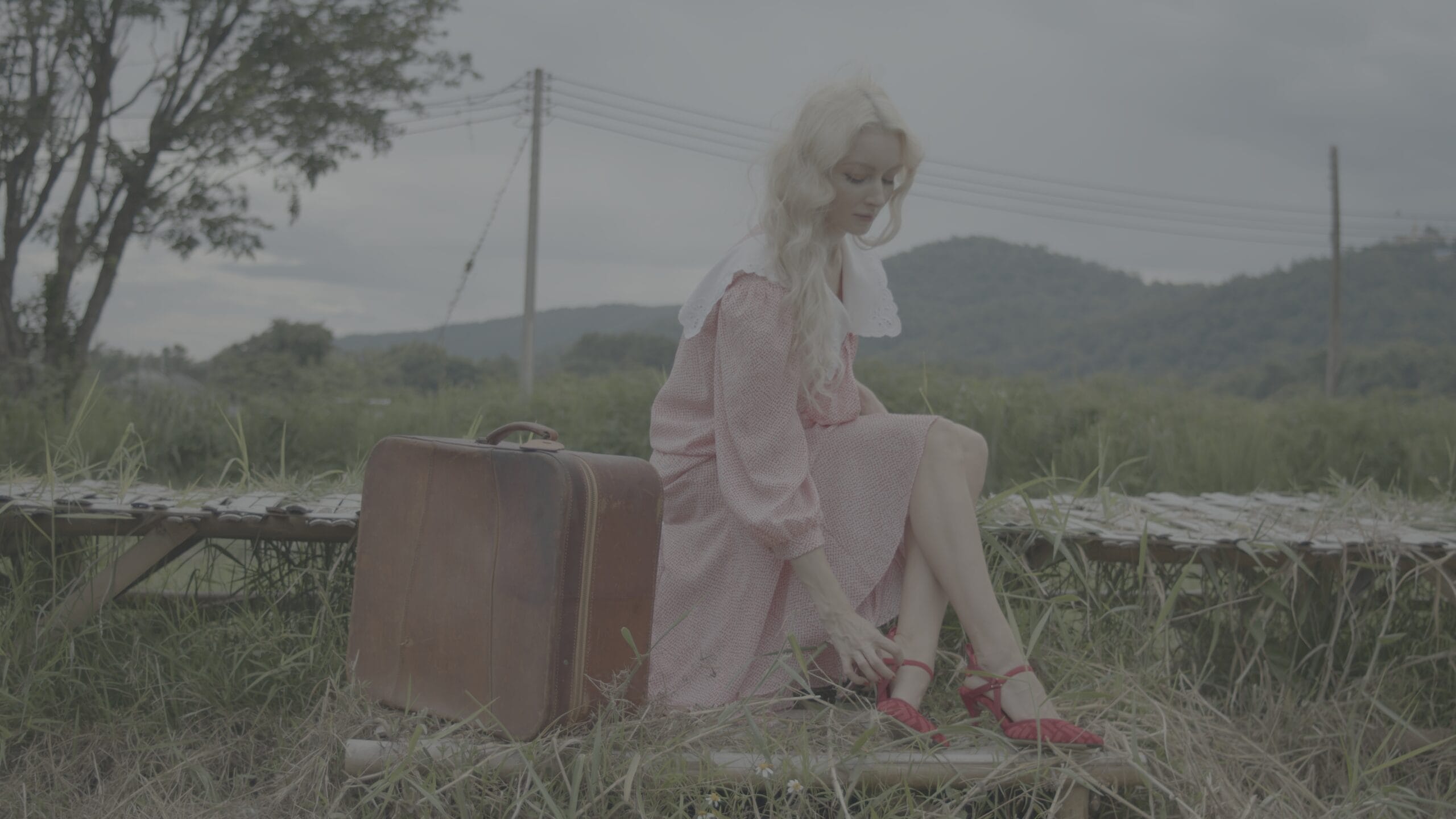 Kodak 2383 Inspired Cinematic LUTs before