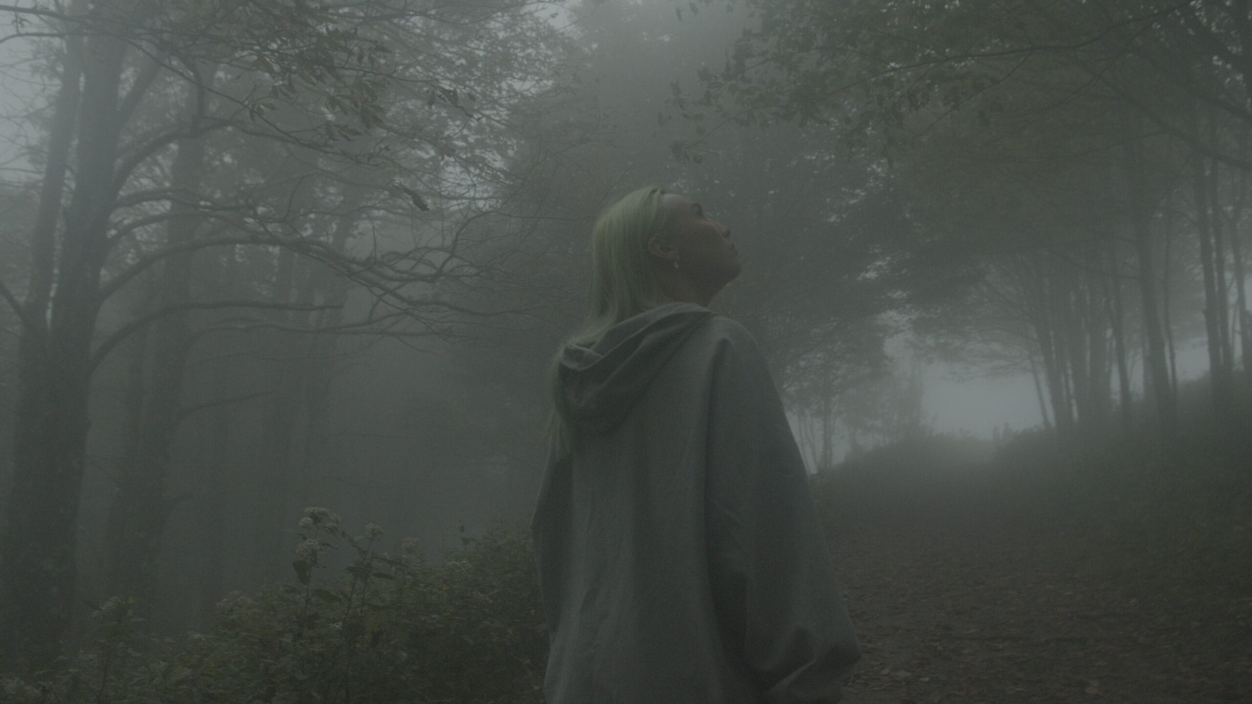 Kodak 2383 Inspired Cinematic LUTs before