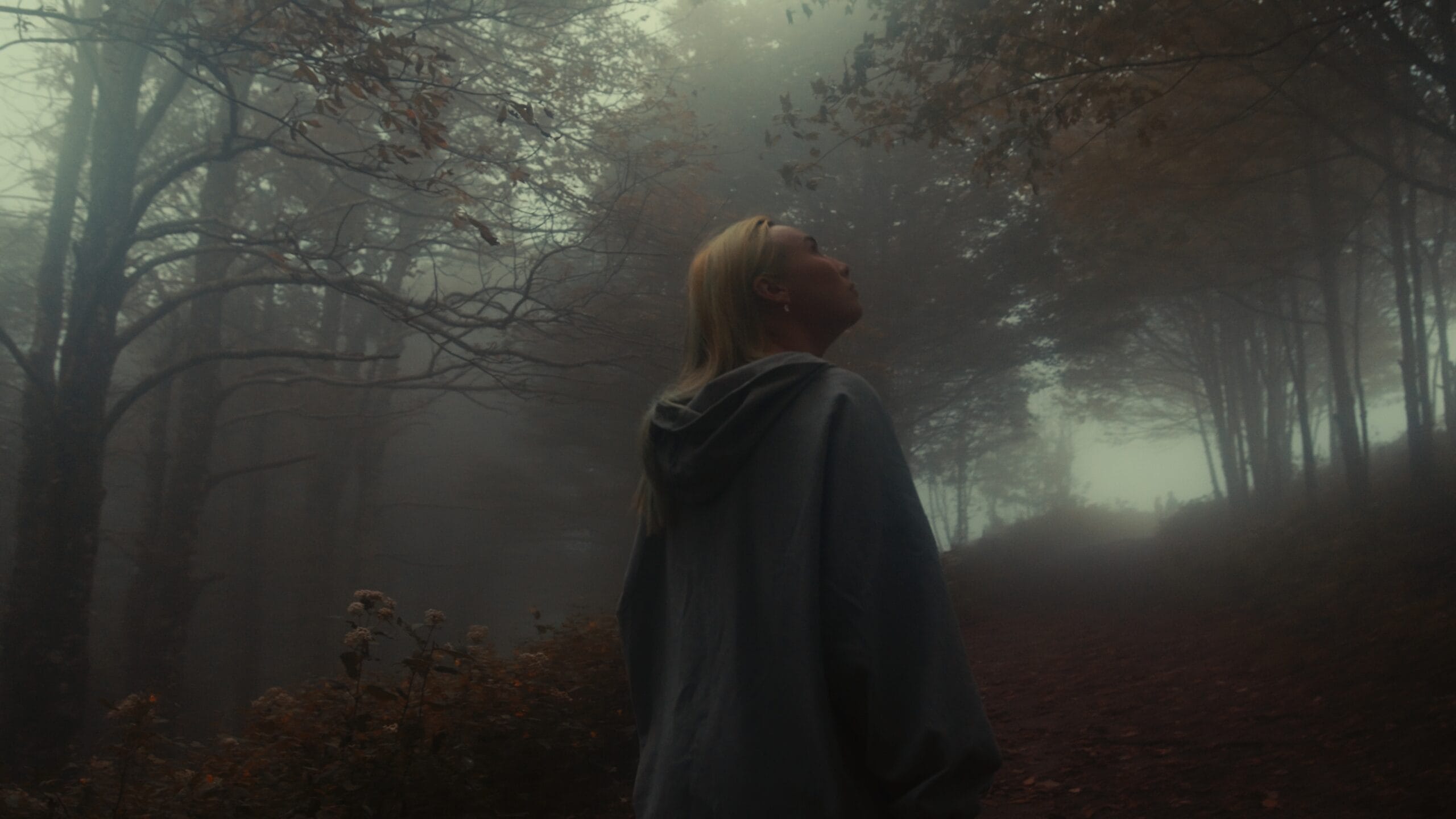 Kodak 2383 Inspired Cinematic LUTs after