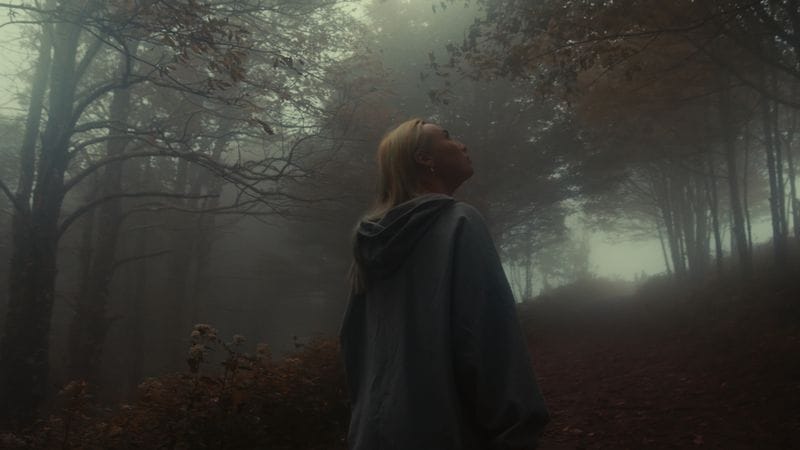 Kodak 2383 Inspired Cinematic LUTs - Gallery Image