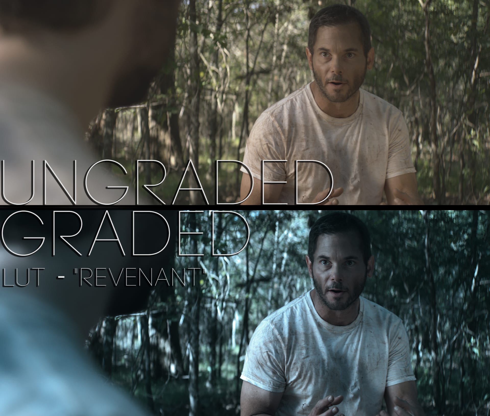 Cinematic LUTs V1