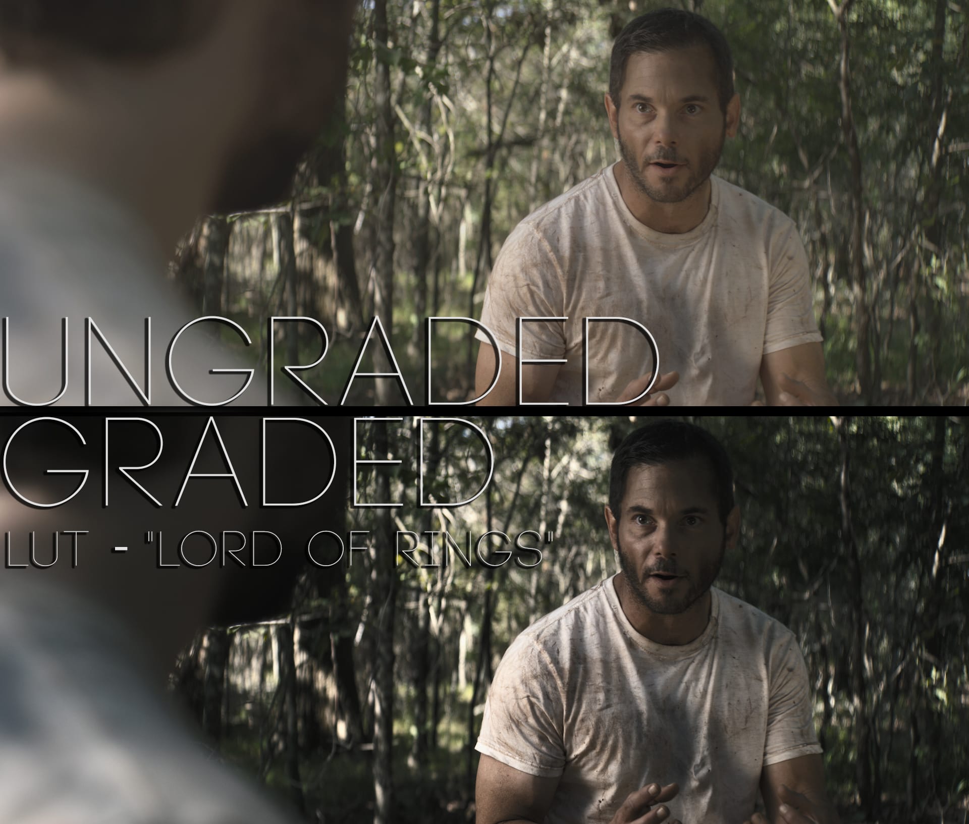 Cinematic LUTs V1