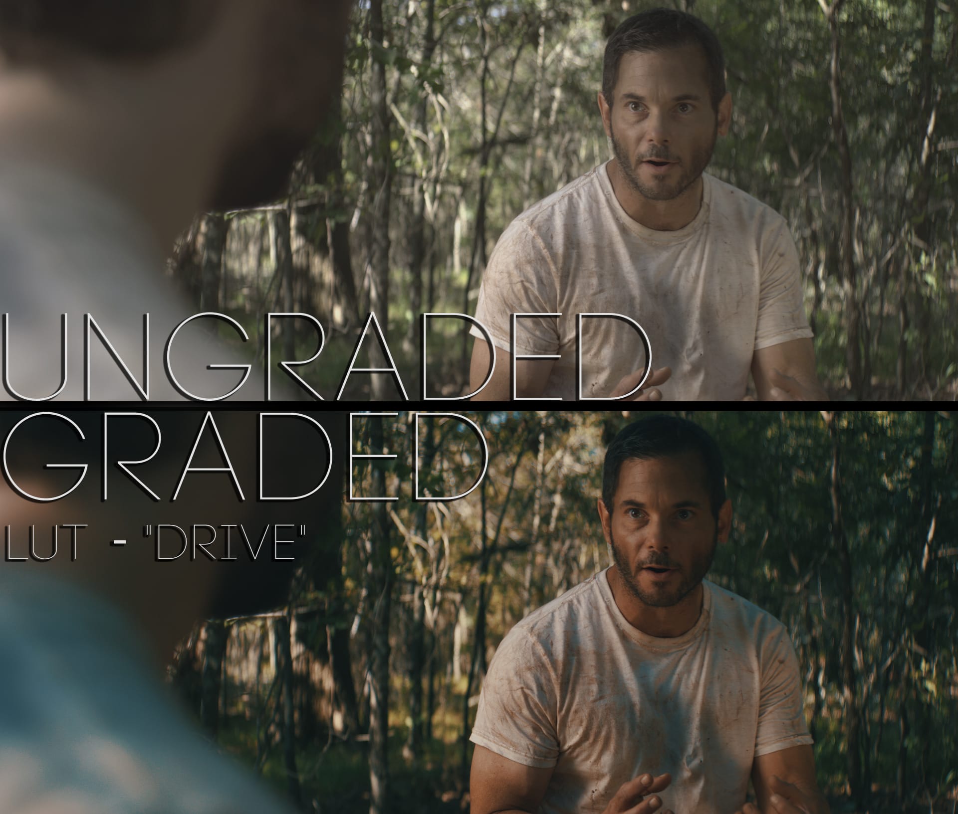 Cinematic LUTs V1