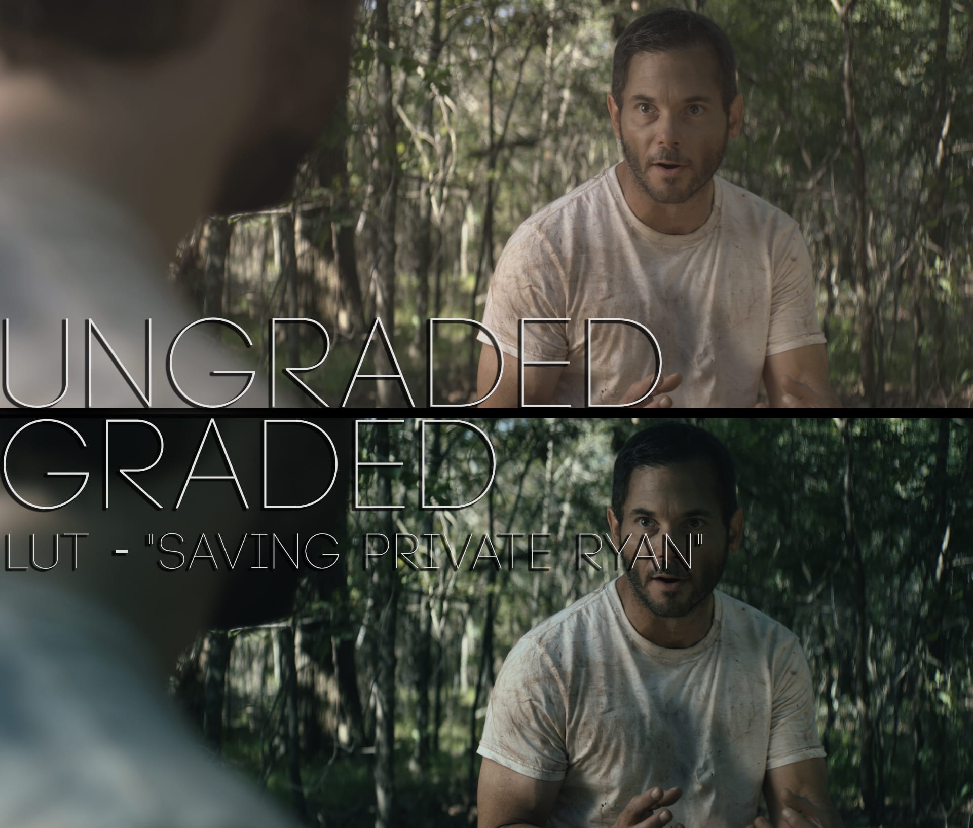 Cinematic LUTs V1