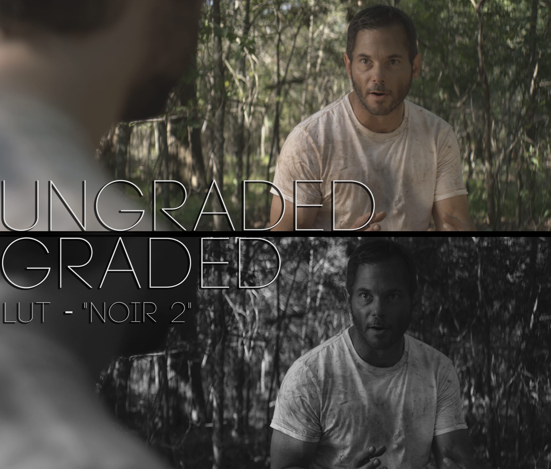 Cinematic LUTs V1