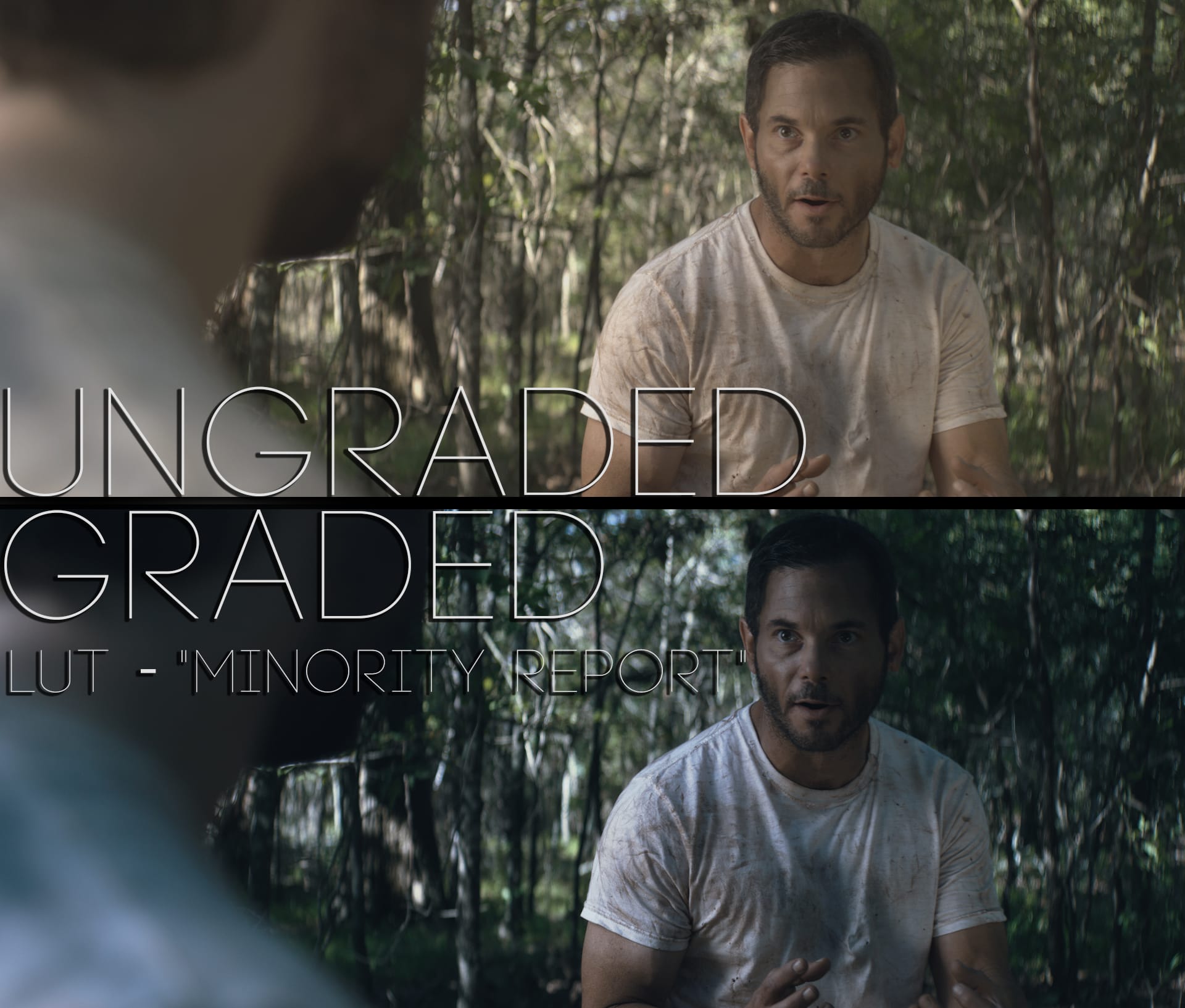 Cinematic LUTs V1