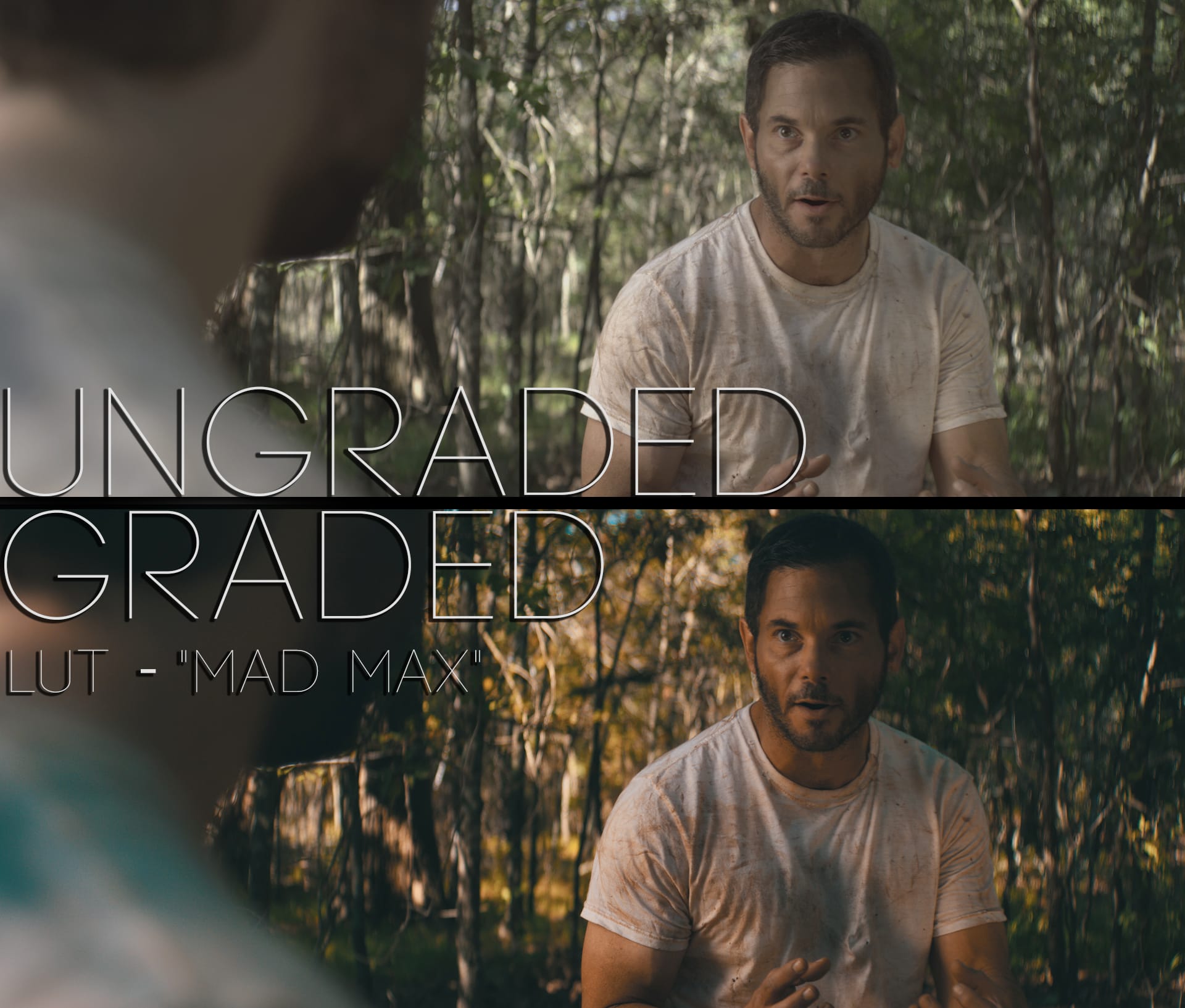Cinematic LUTs V1