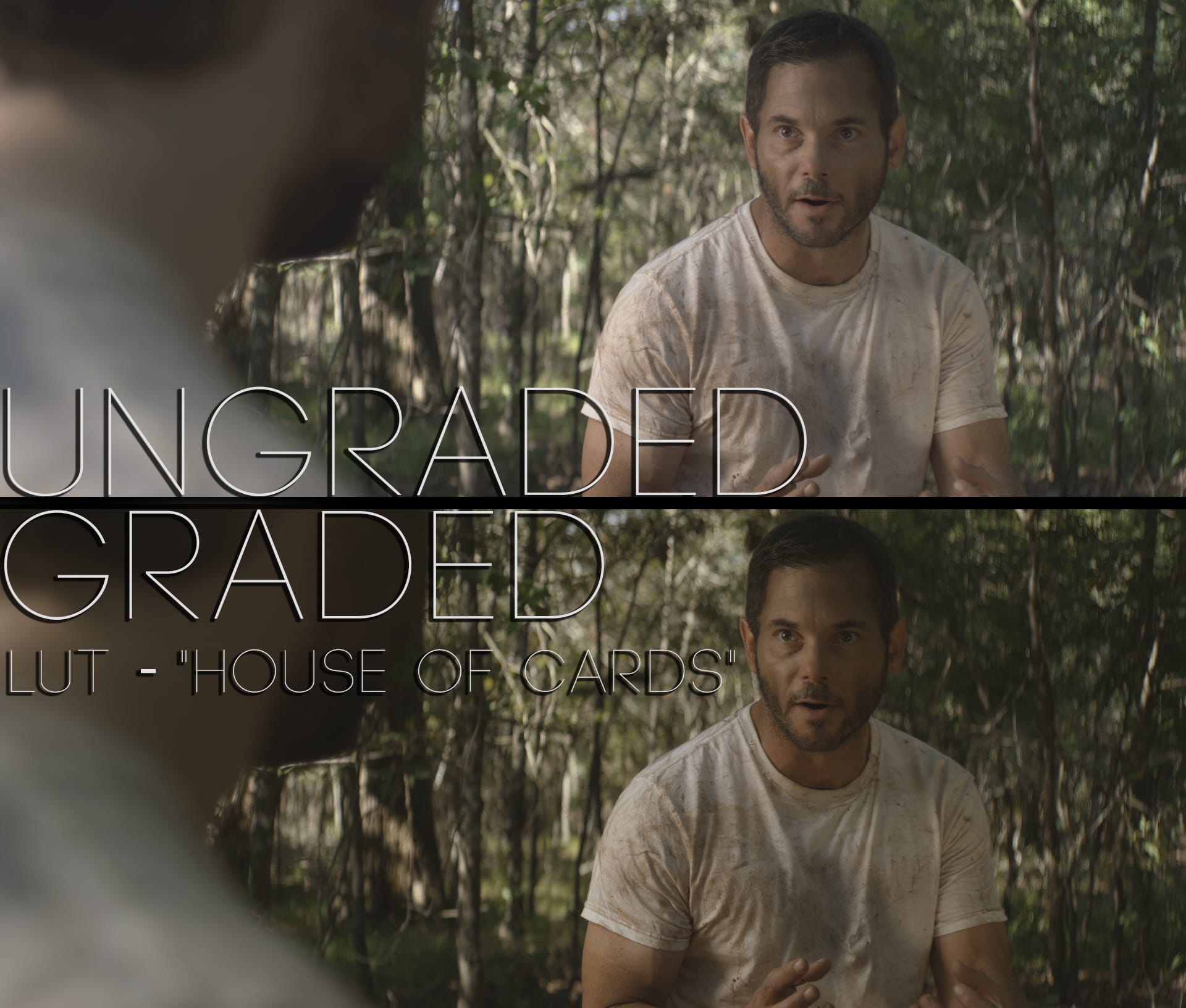 Cinematic LUTs V1