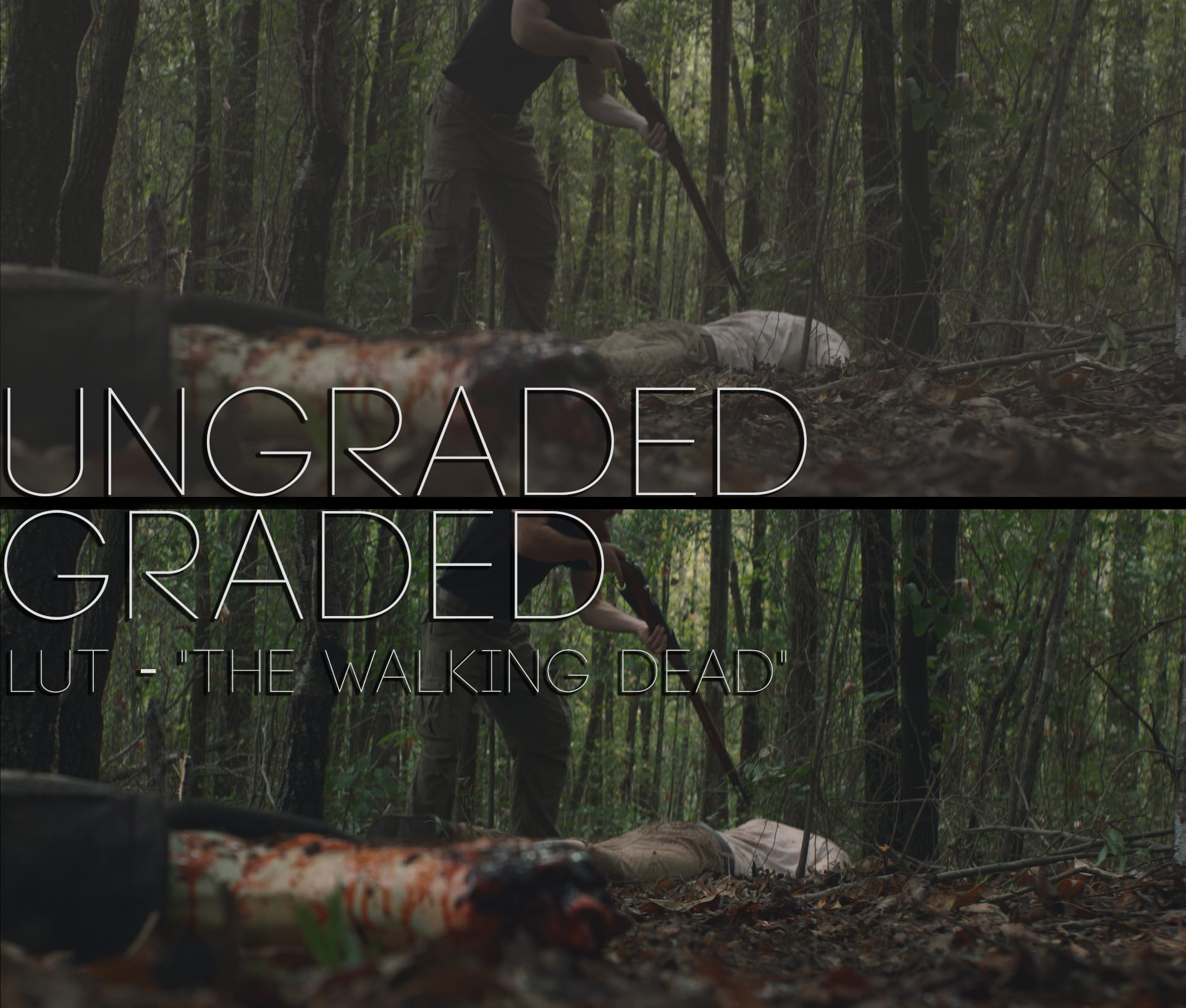 Cinematic LUTs V1