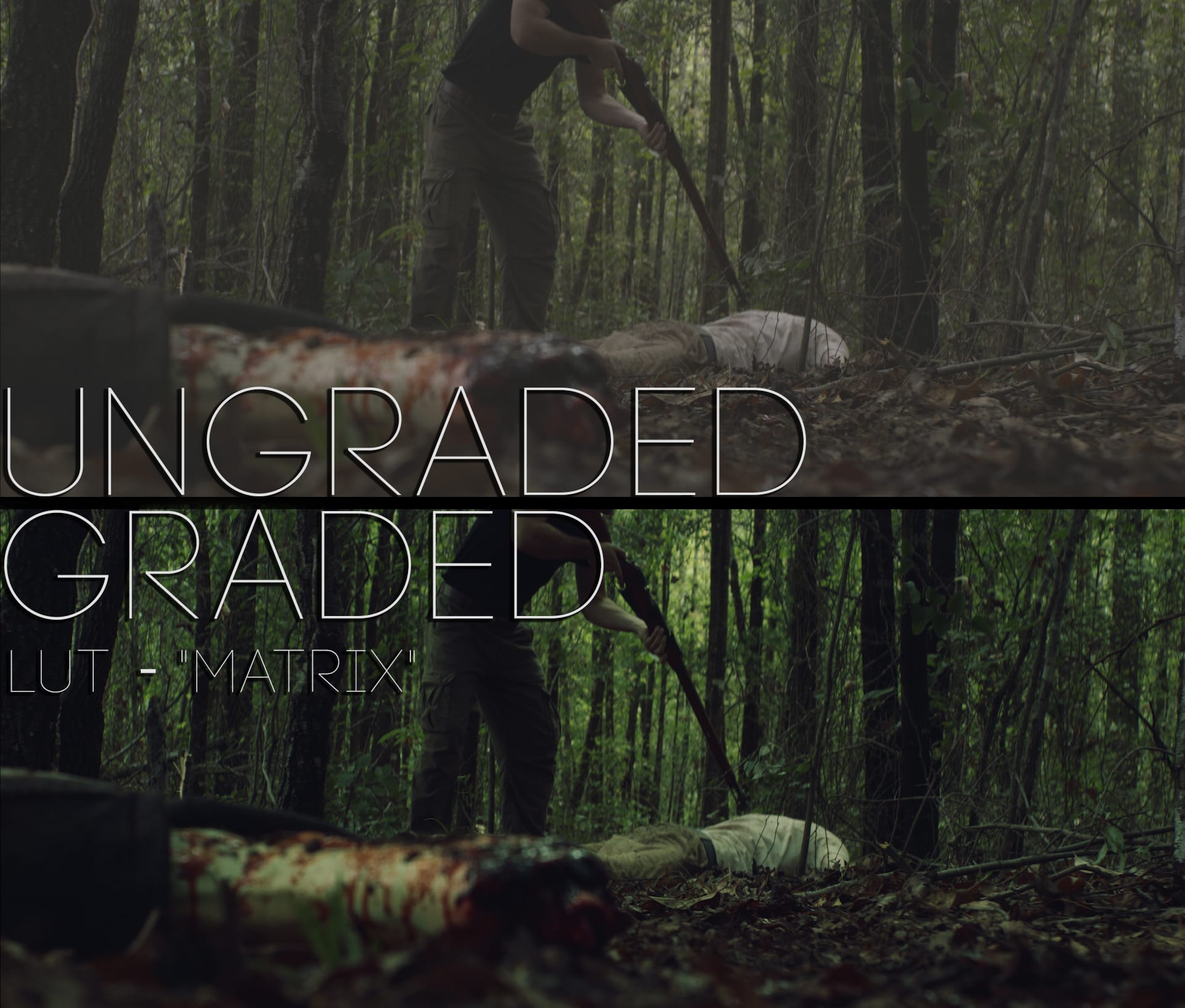 Cinematic LUTs V1
