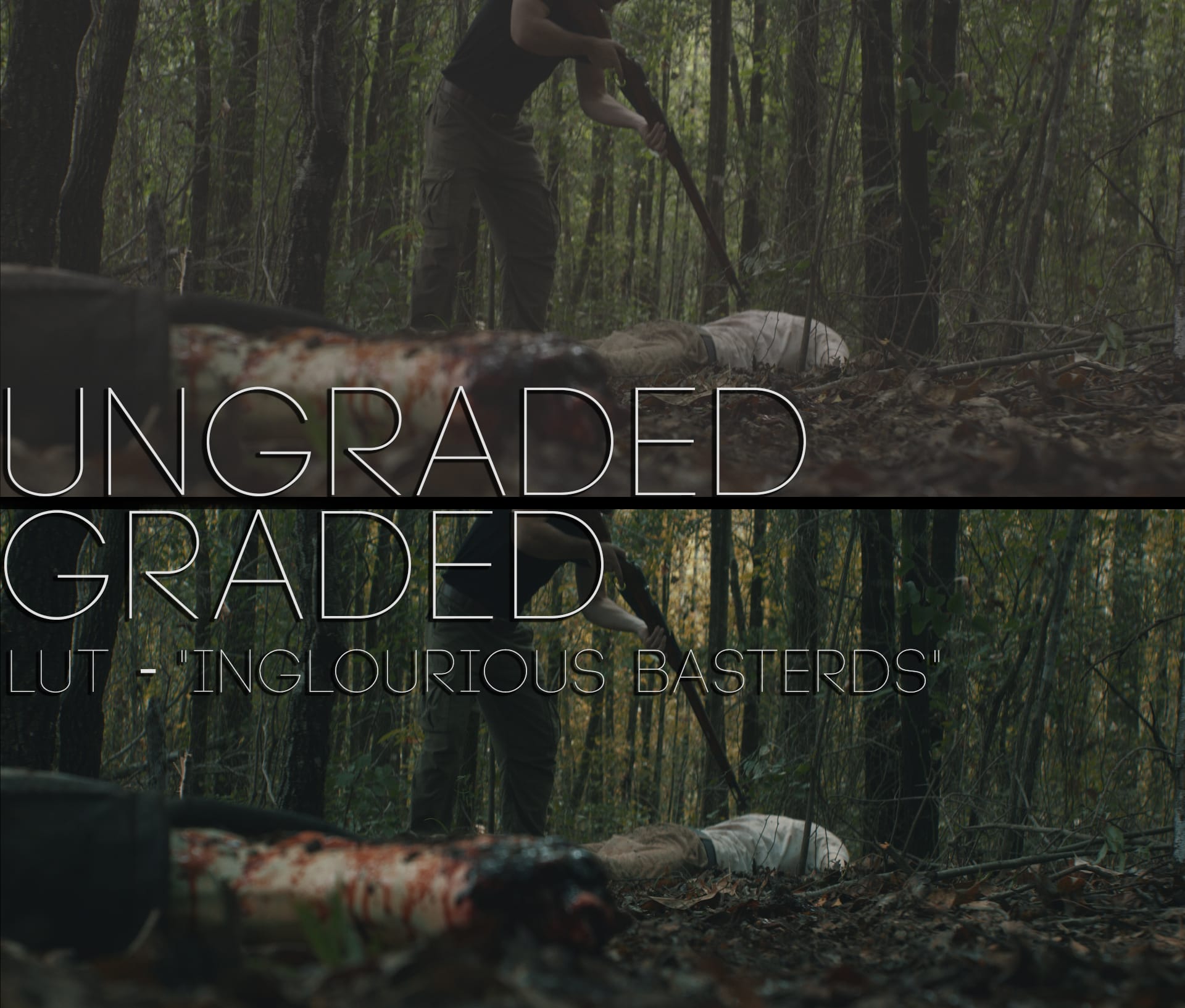 Cinematic LUTs V1