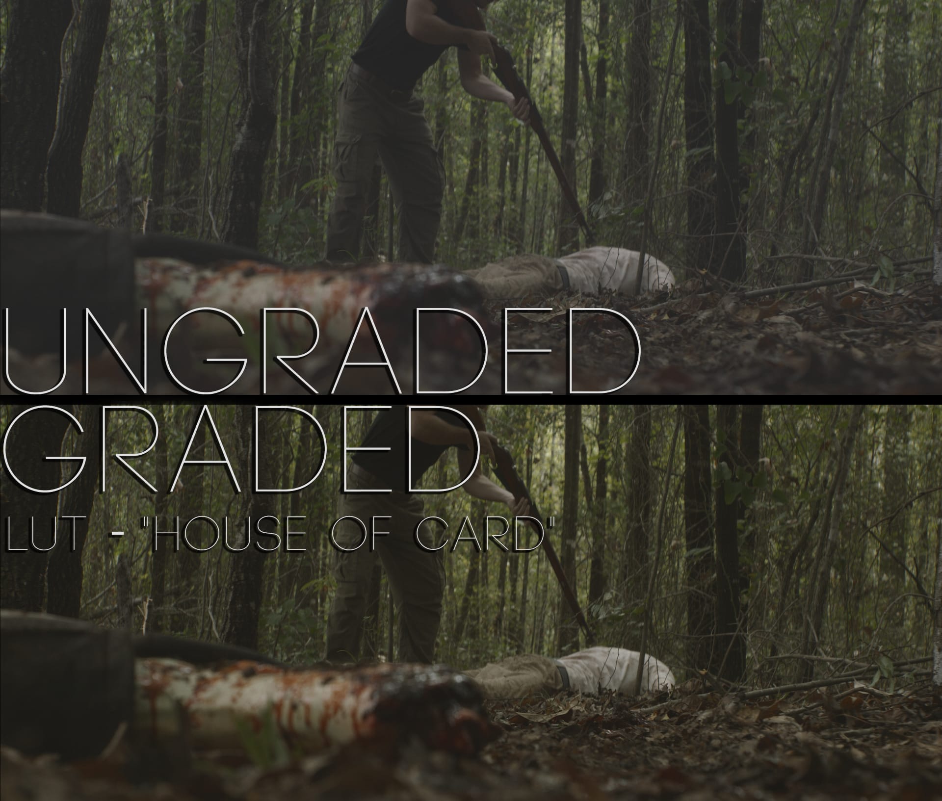 Cinematic LUTs V1
