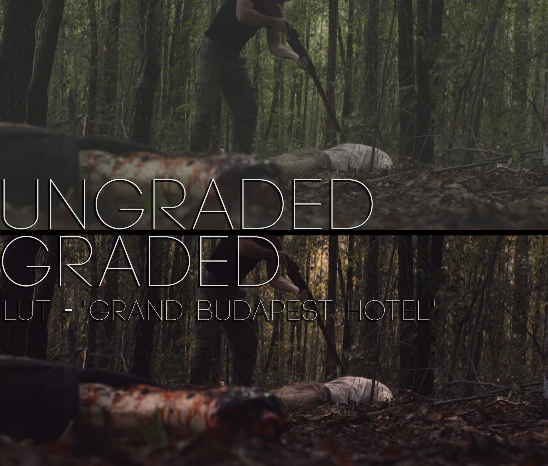 Cinematic LUTs V1