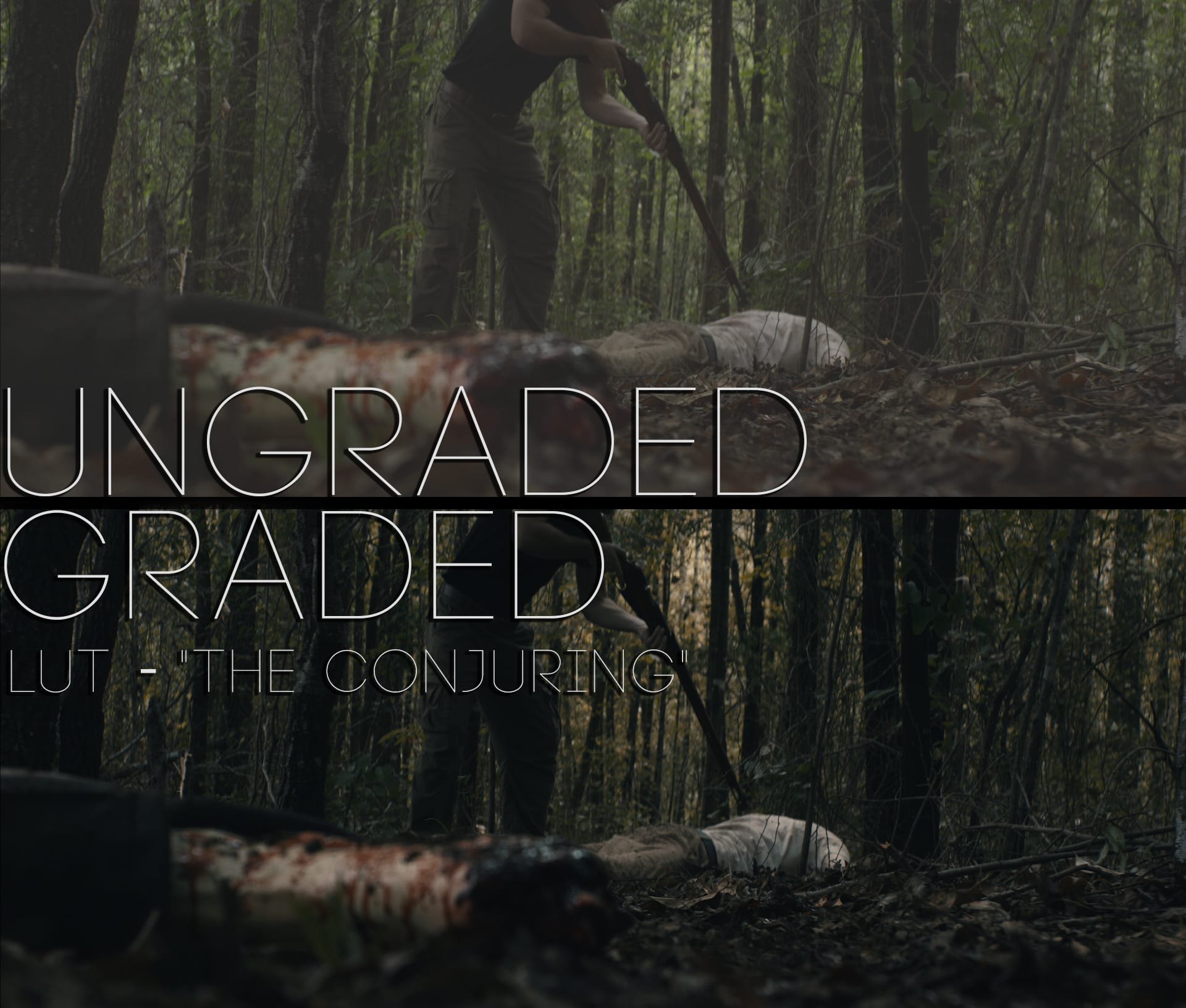 Cinematic LUTs V1