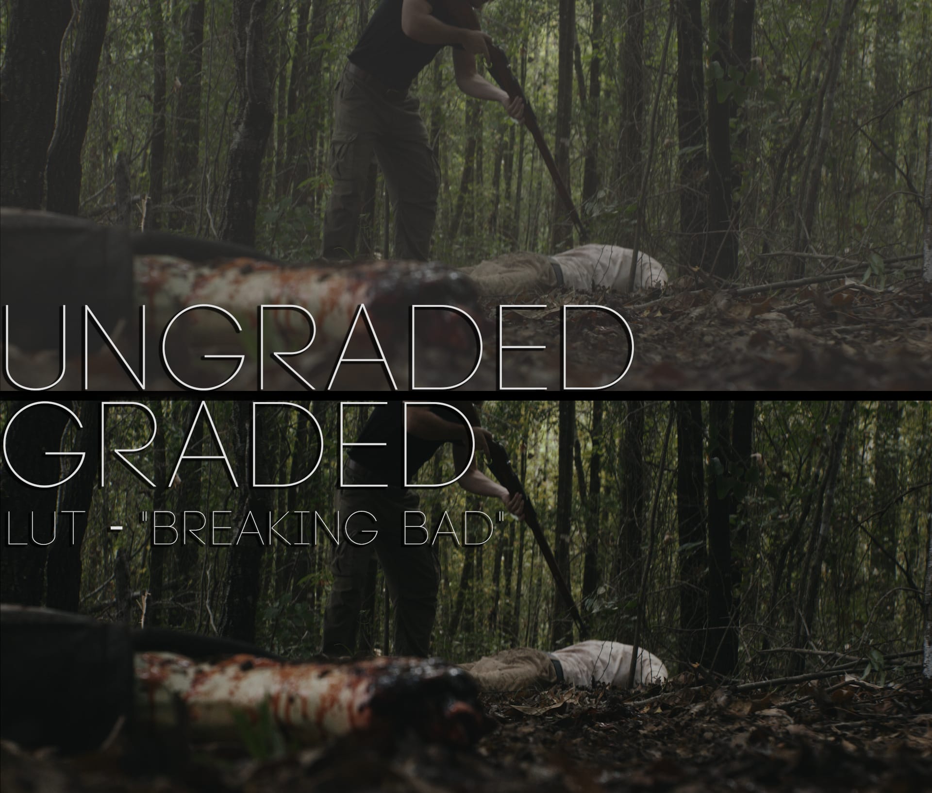 Cinematic LUTs V1