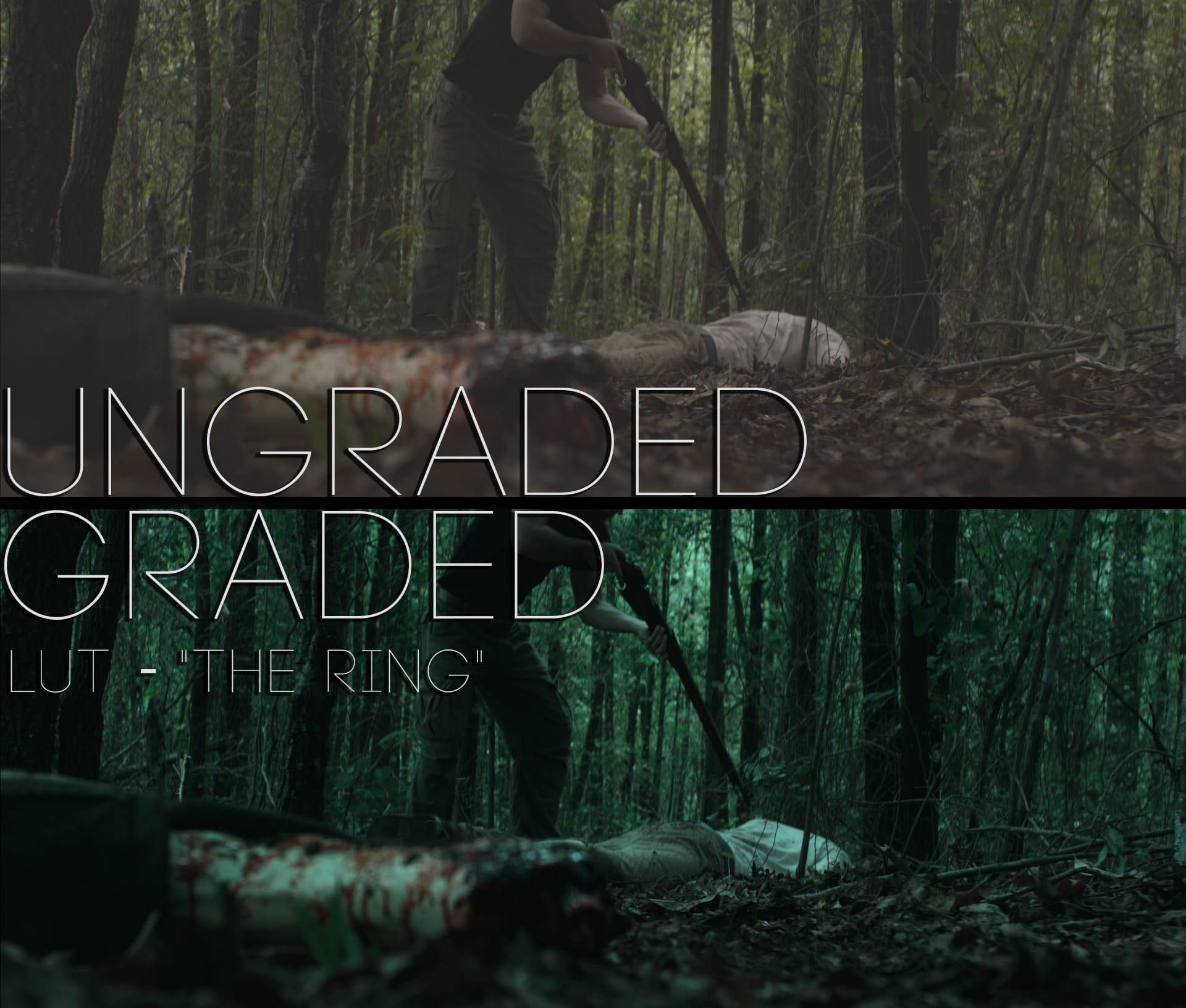 Cinematic LUTs V1