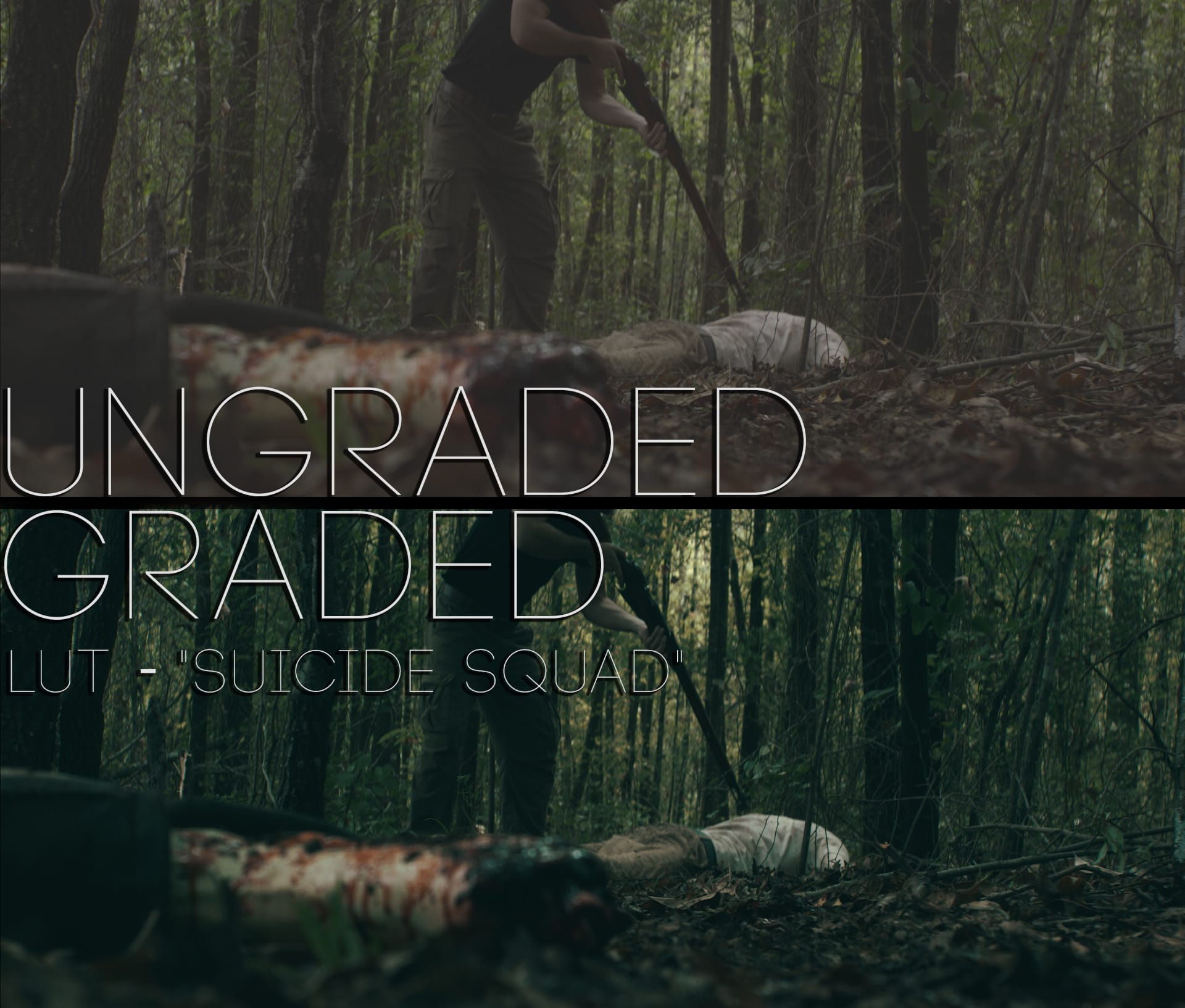 Cinematic LUTs V1