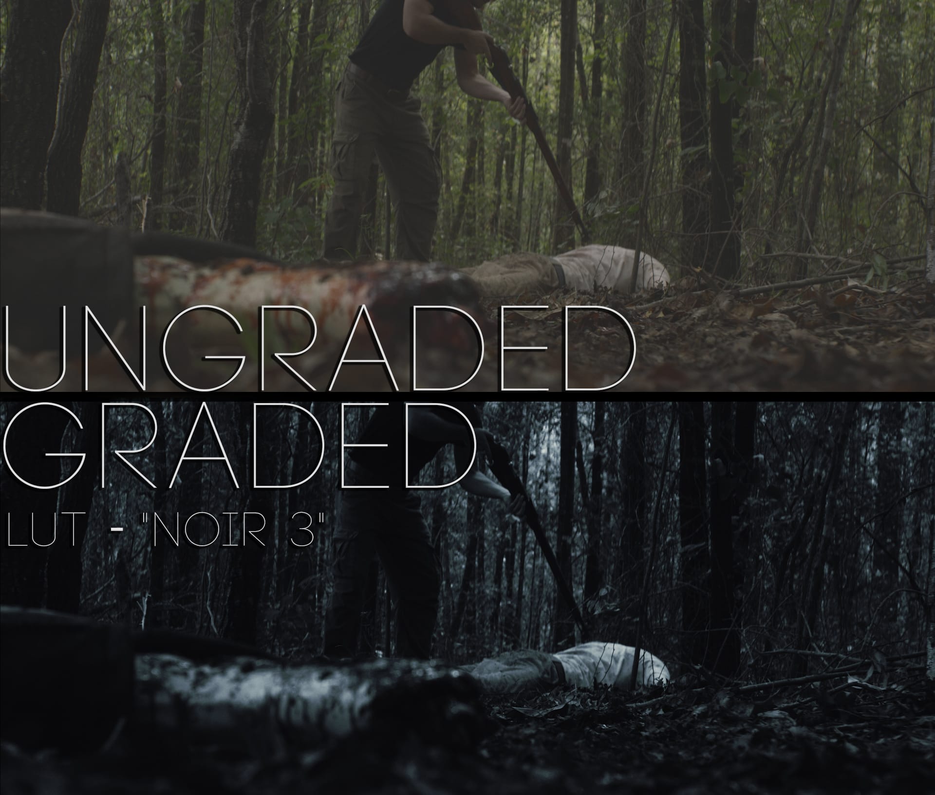 Cinematic LUTs V1
