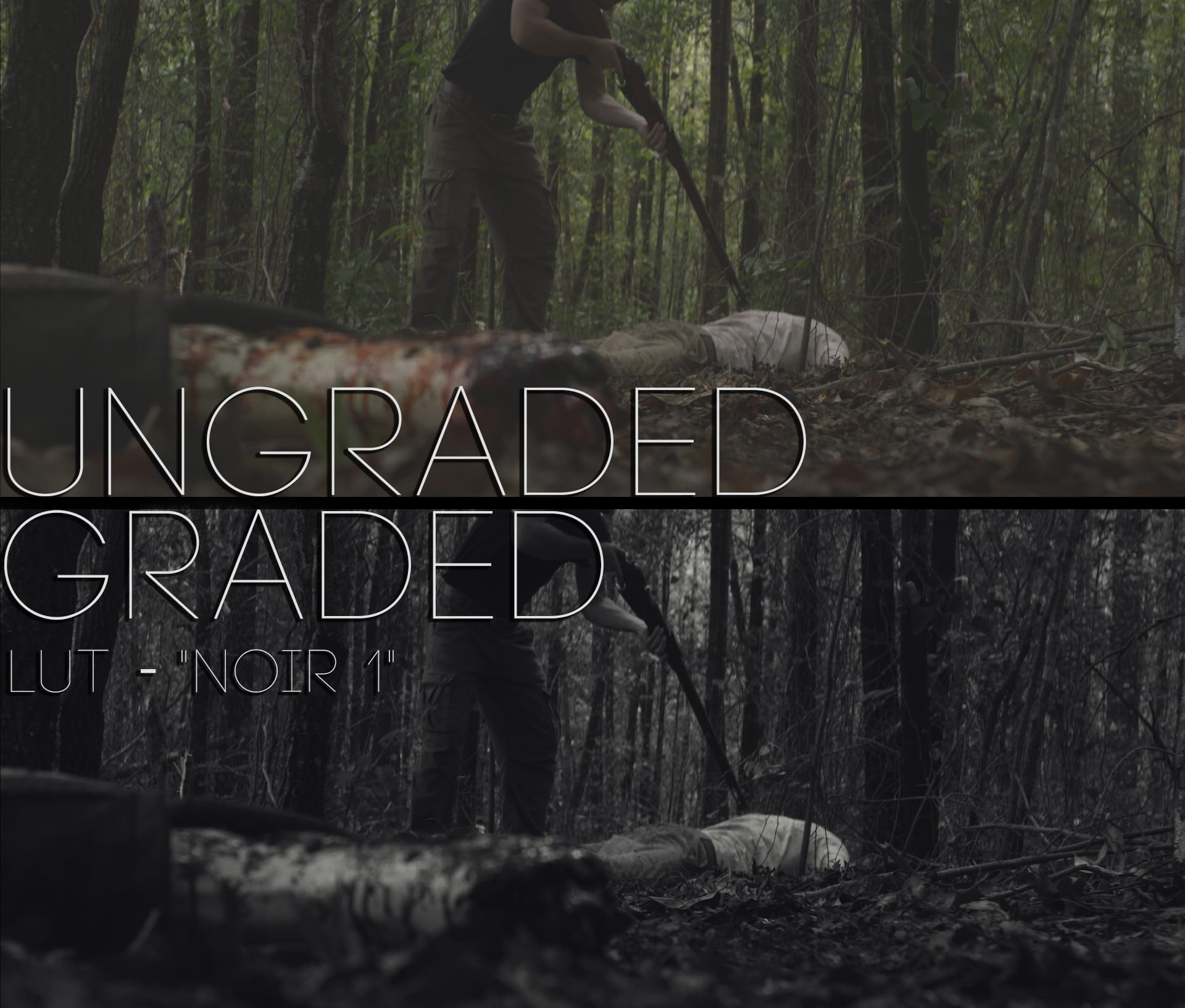 Cinematic LUTs V1