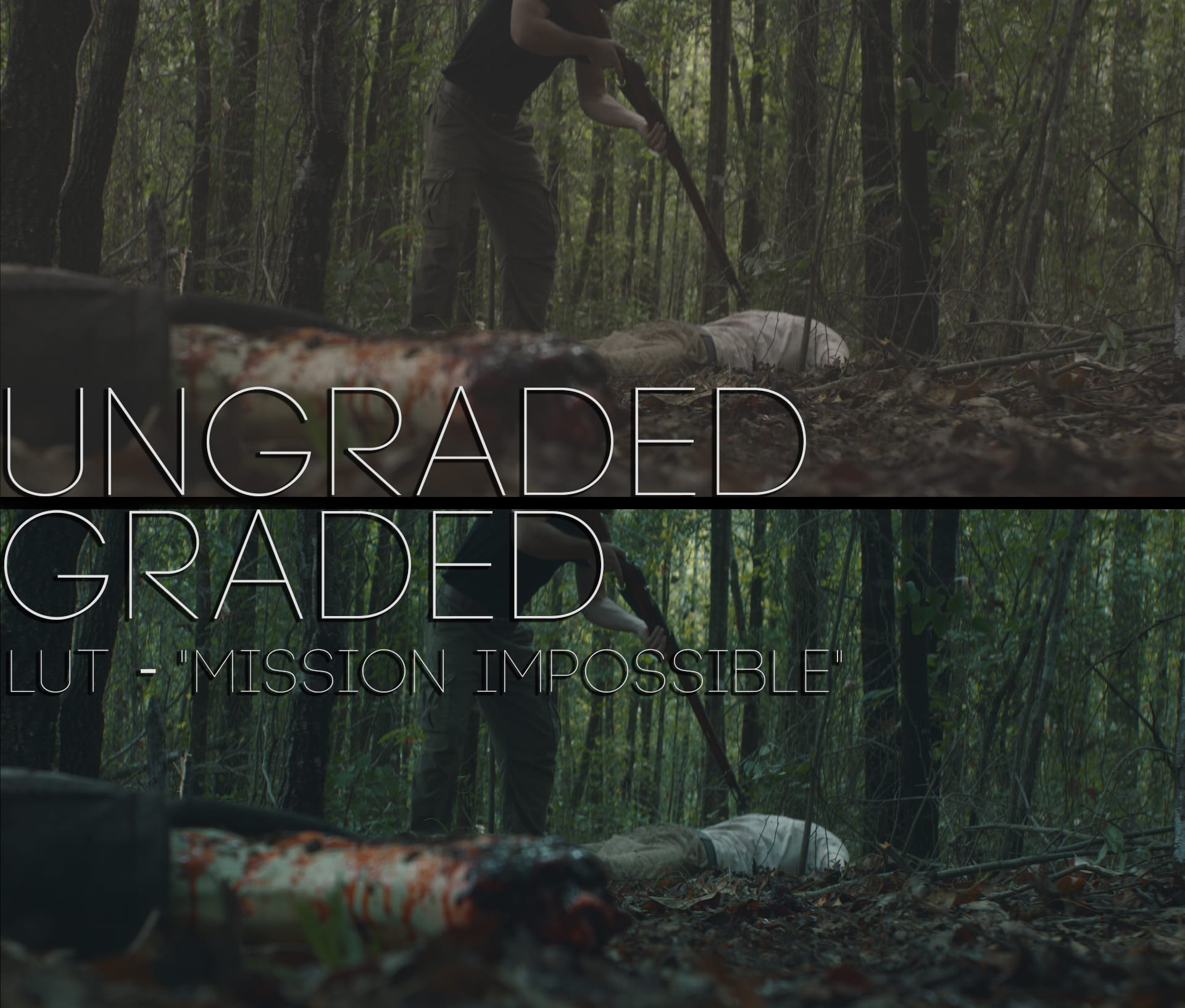 Cinematic LUTs V1