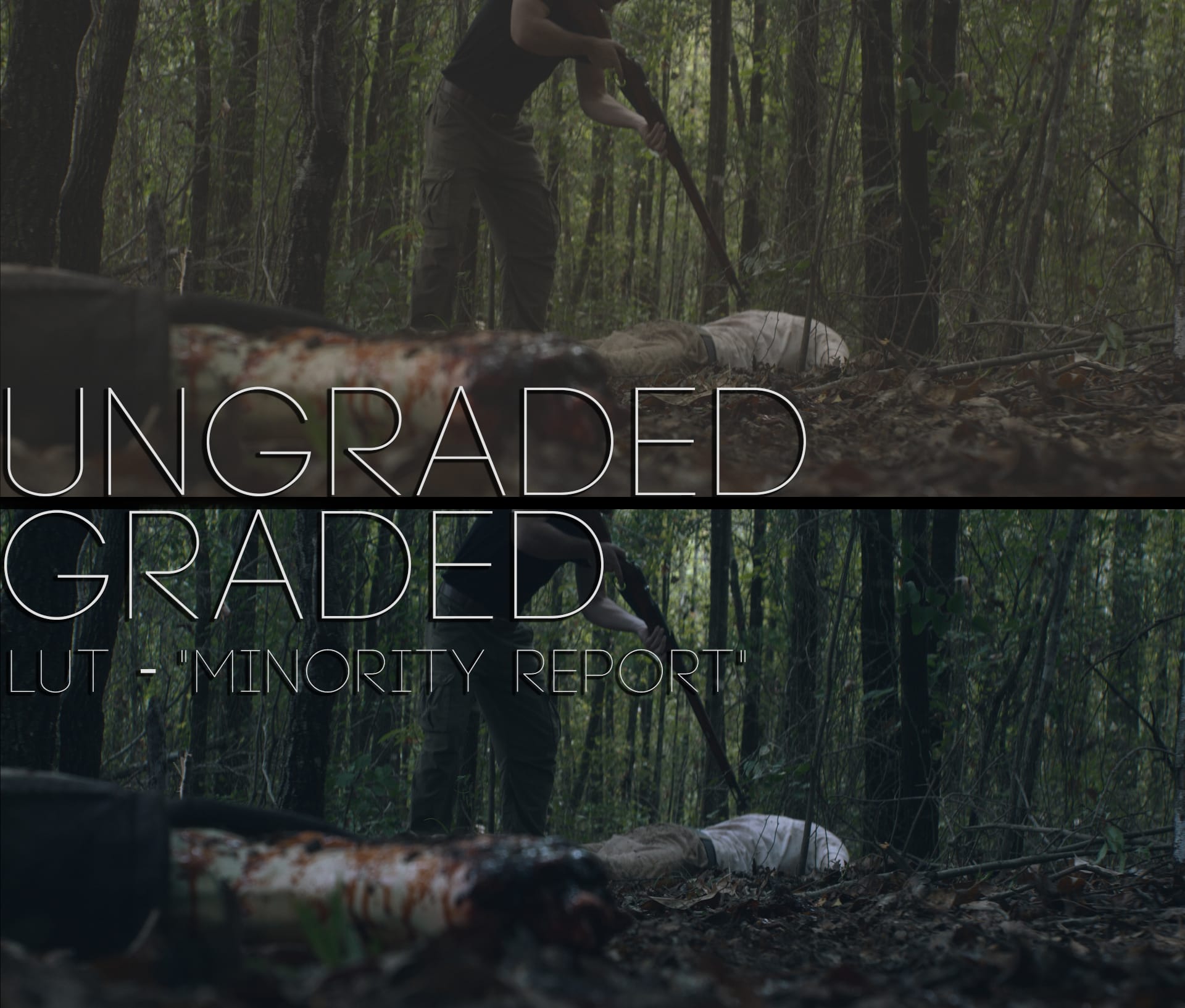 Cinematic LUTs V1