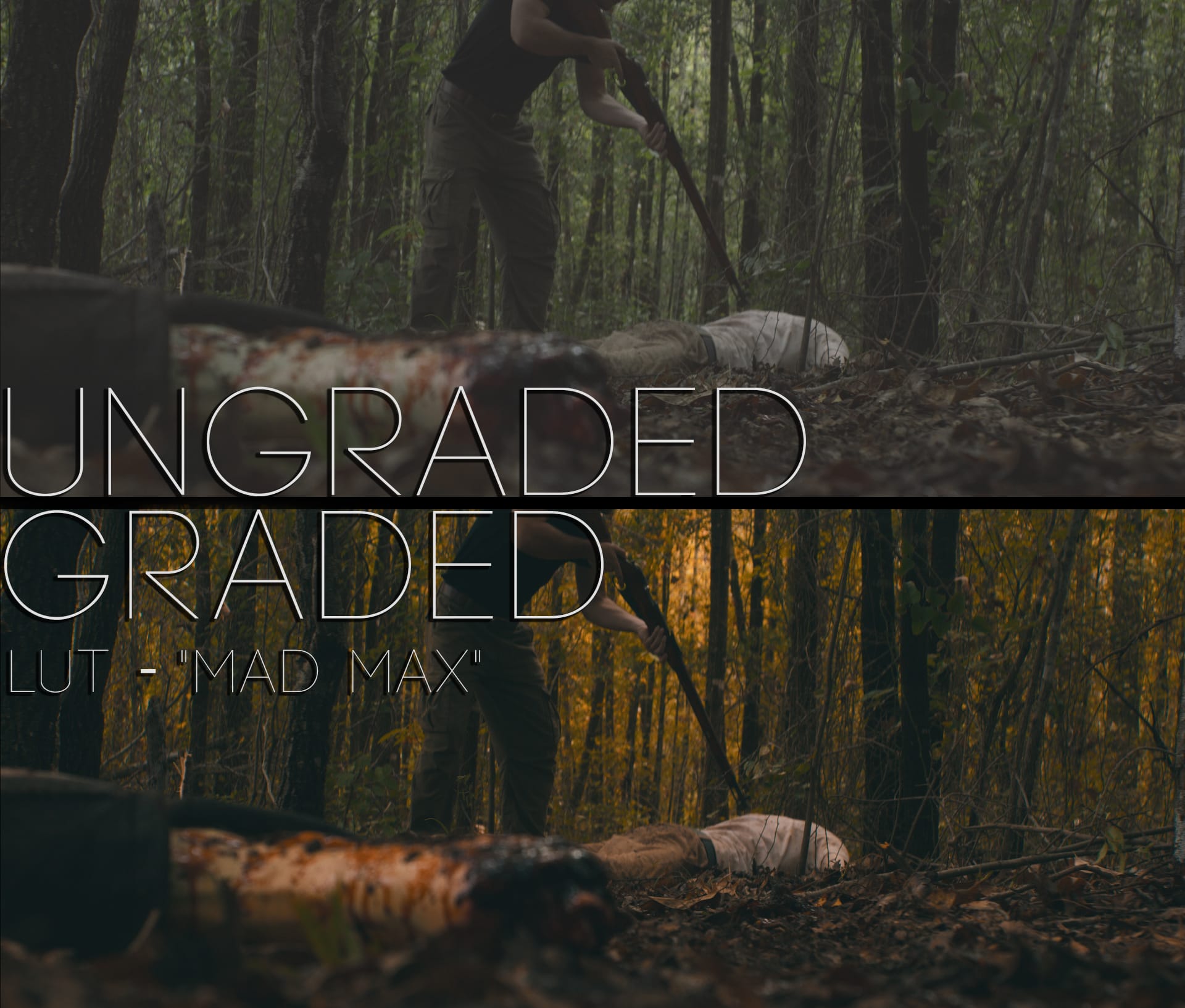 Cinematic LUTs V1
