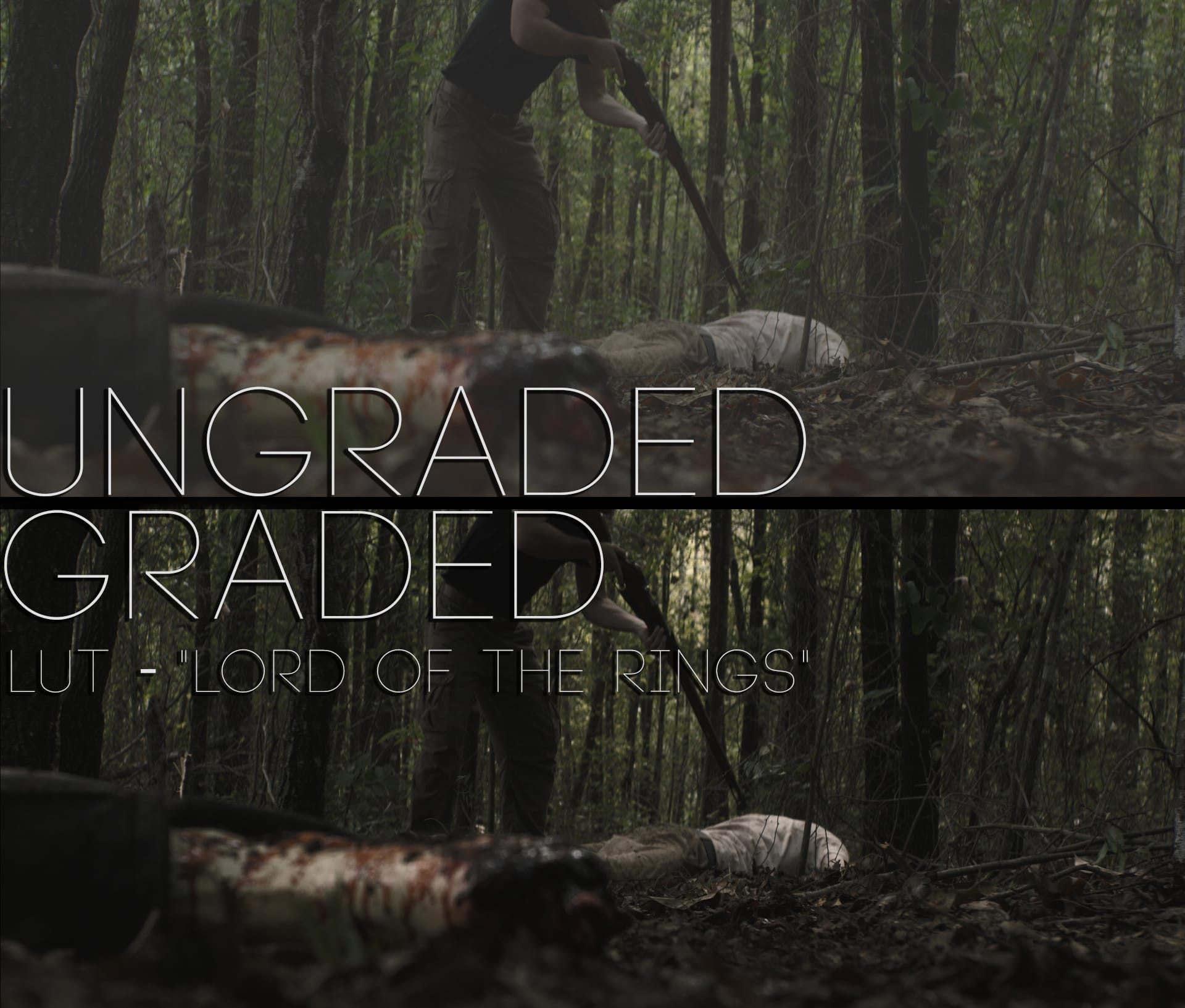 Cinematic LUTs V1
