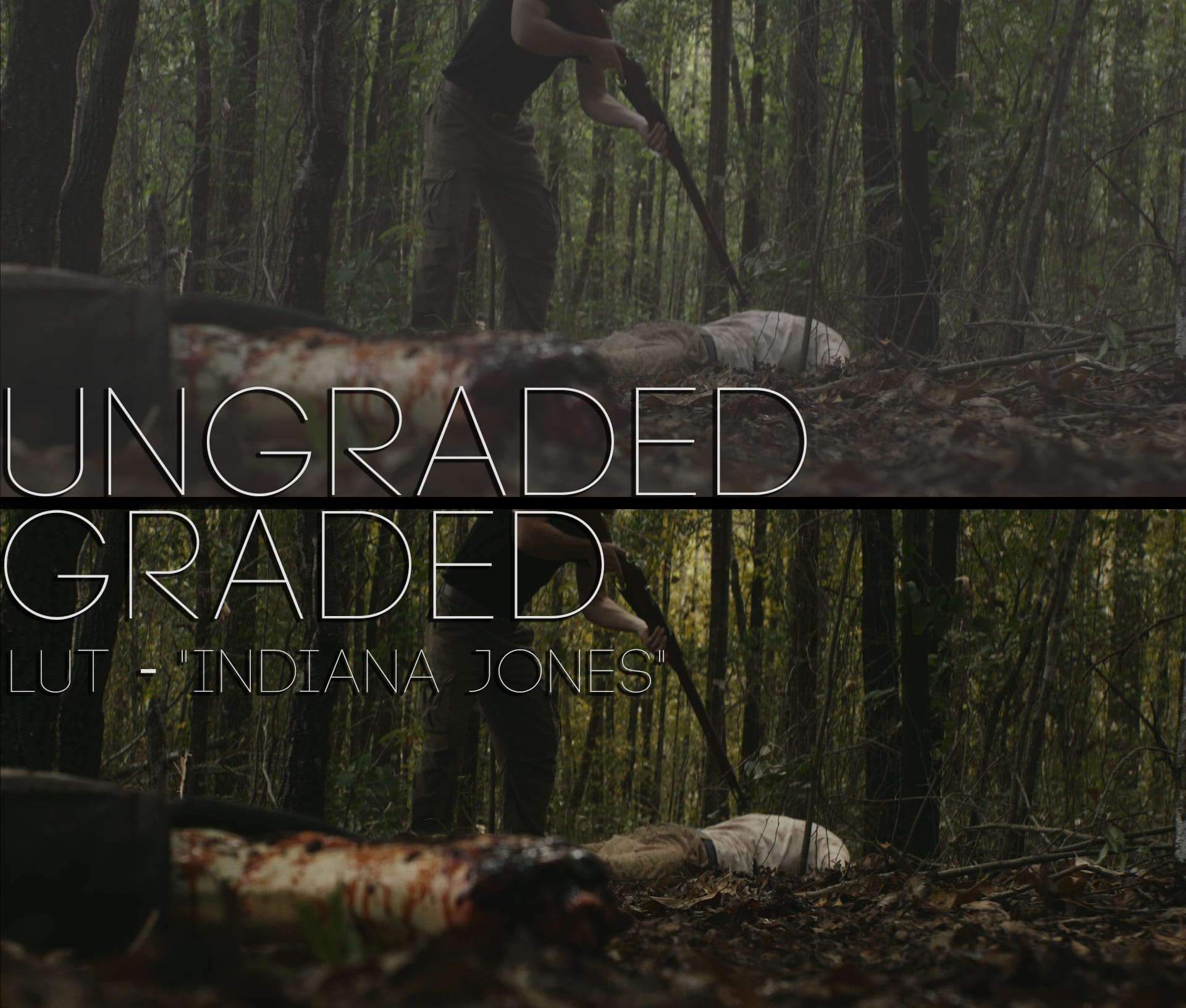 Cinematic LUTs V1