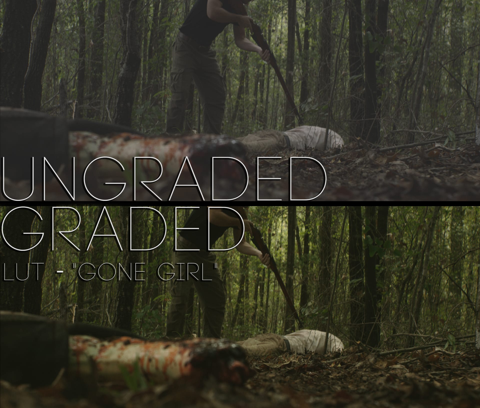Cinematic LUTs V1
