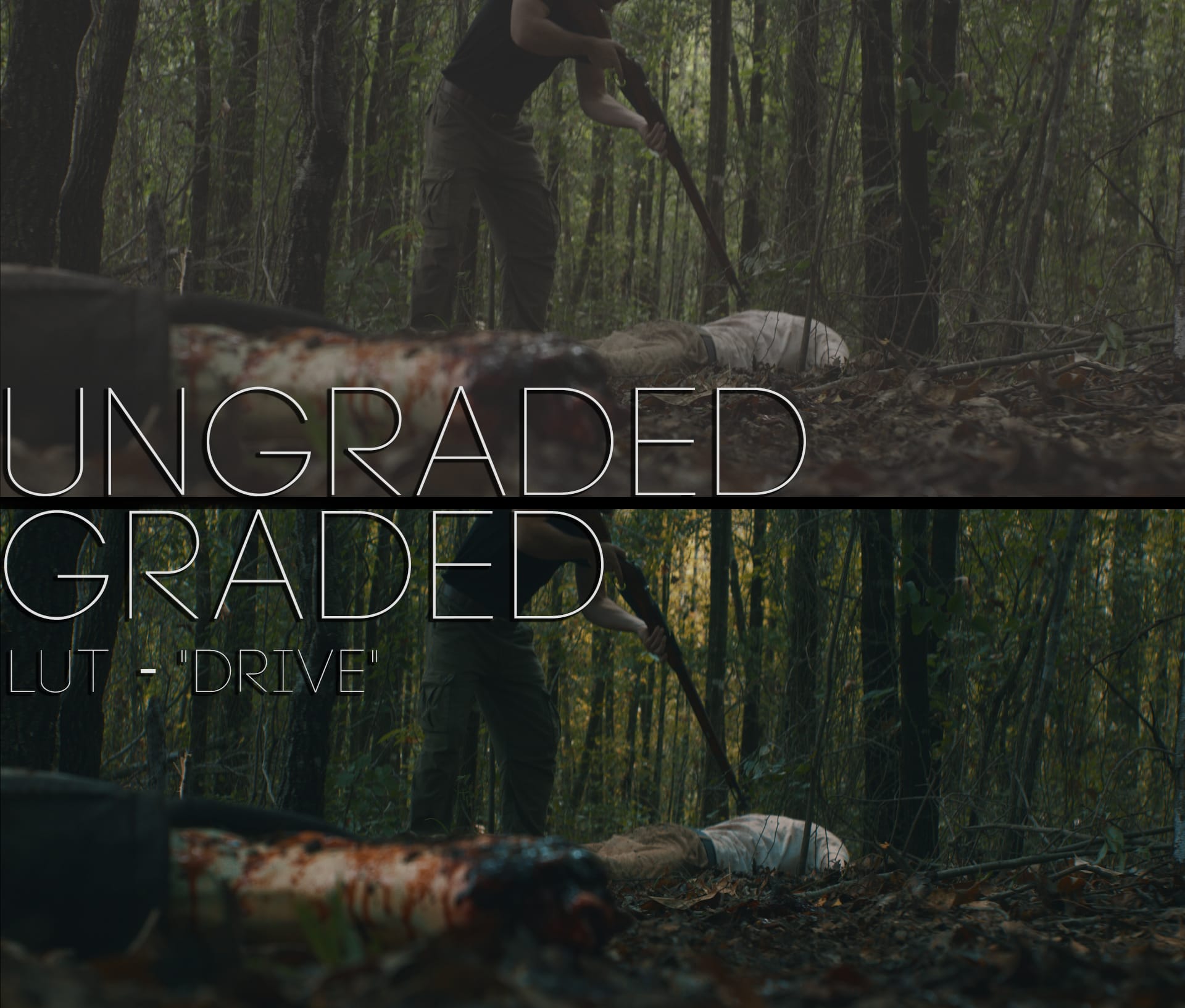 Cinematic LUTs V1