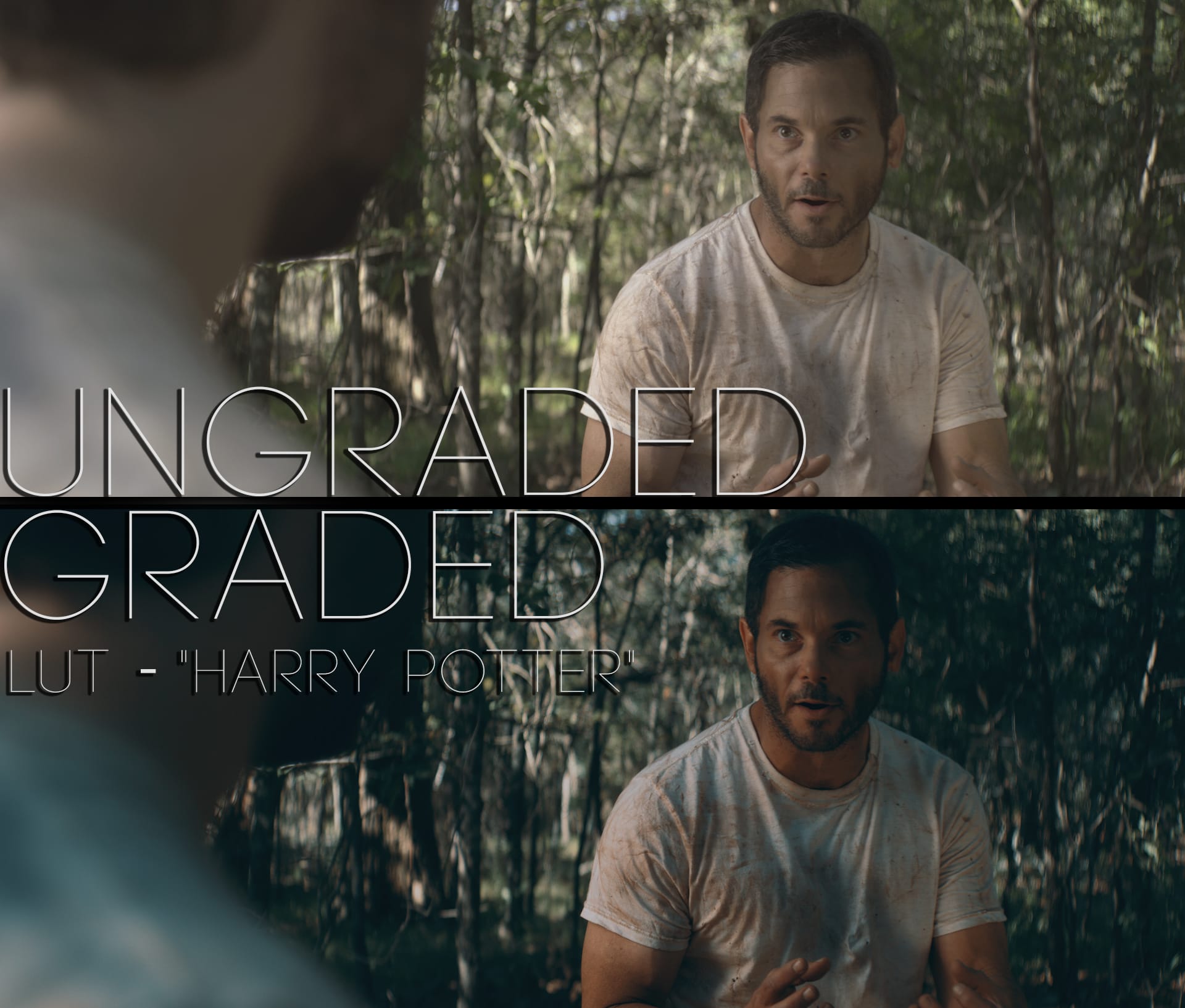 Cinematic LUTs V1