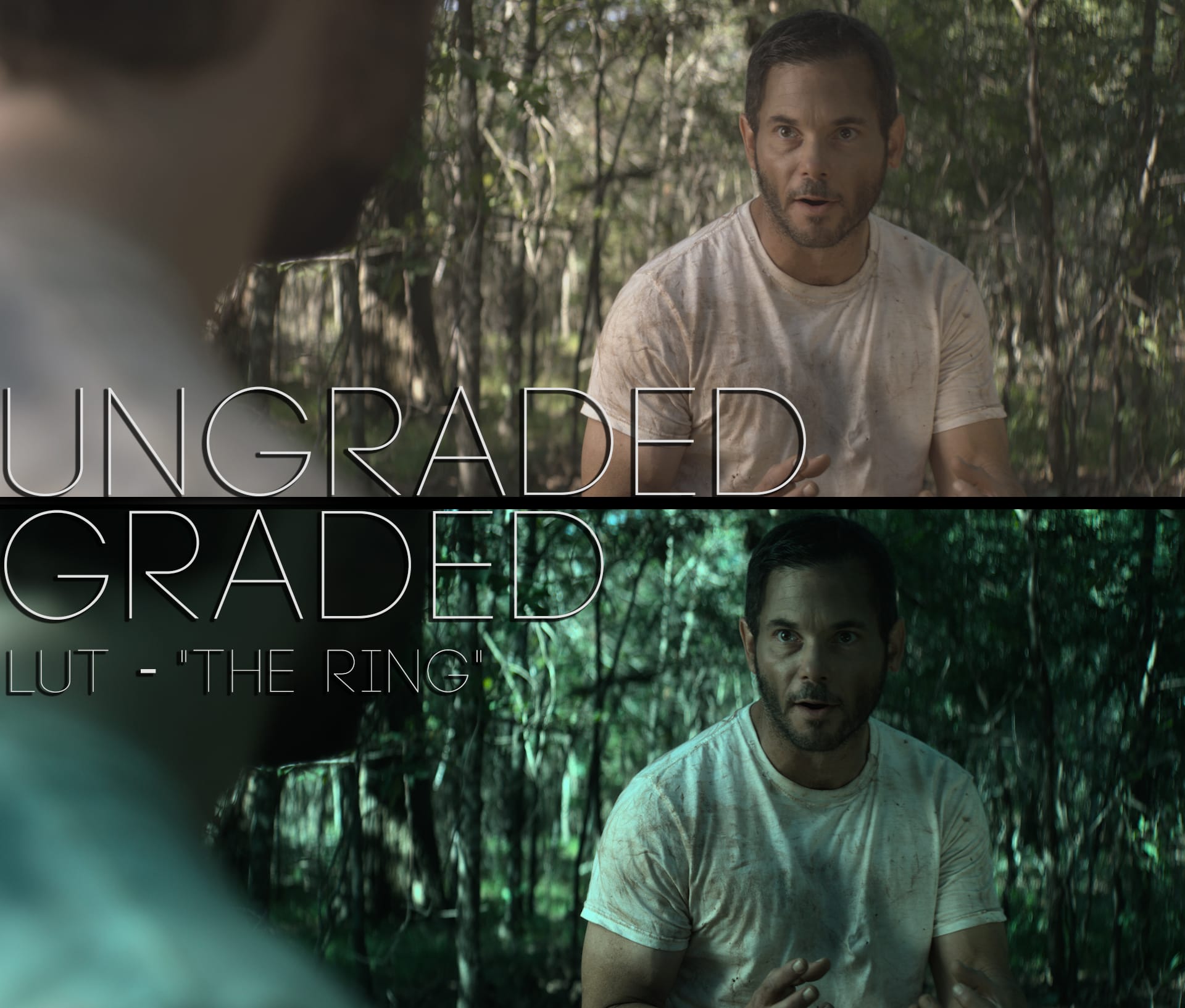 Cinematic LUTs V1
