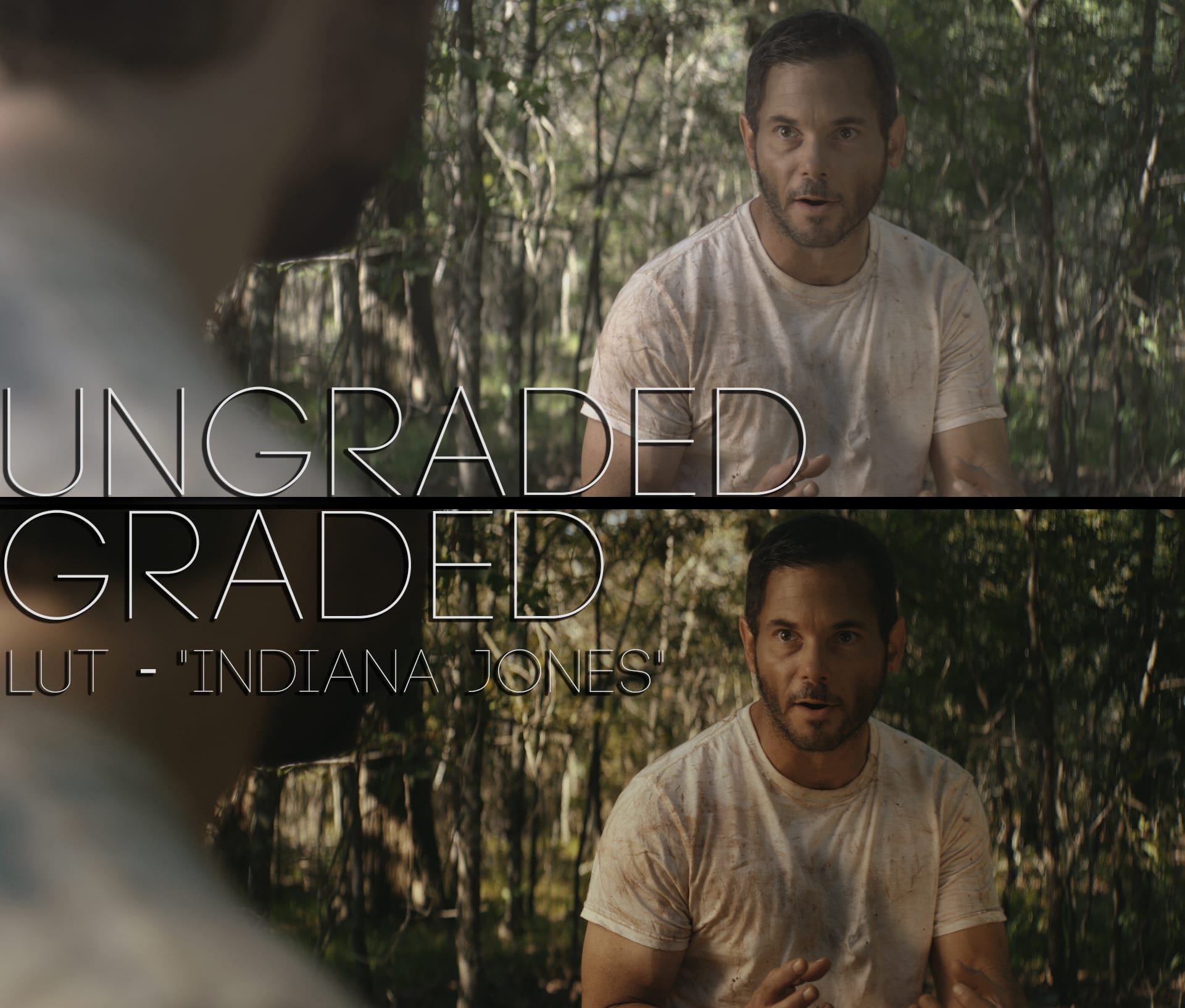 Cinematic LUTs V1